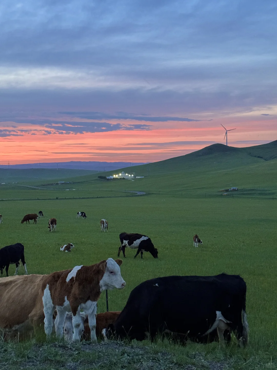 live.在呼伦贝尔实现了草原的尽头看大海!!