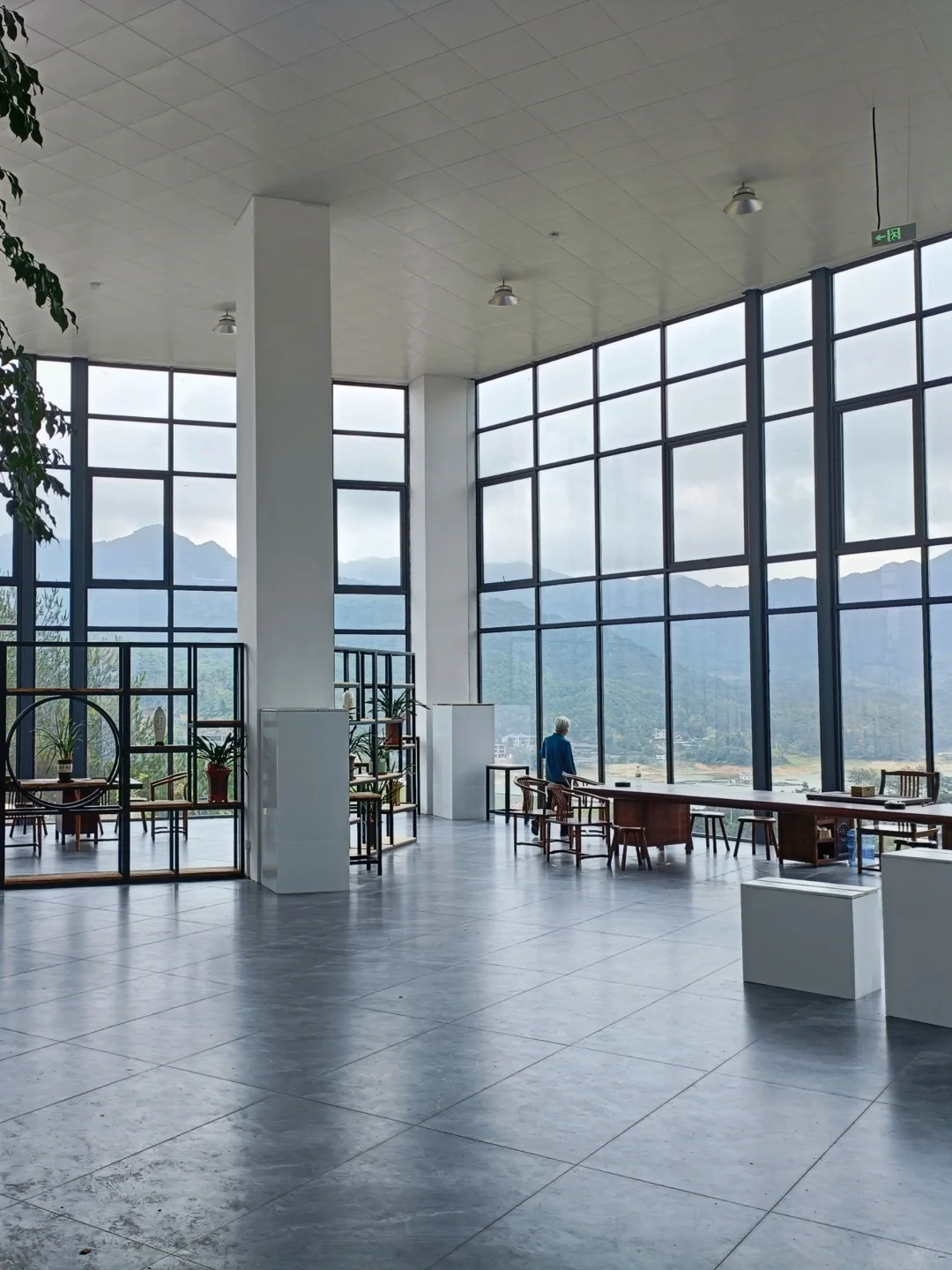 永福杜鹃谷：趁明年春天可能收💰前赶紧冲