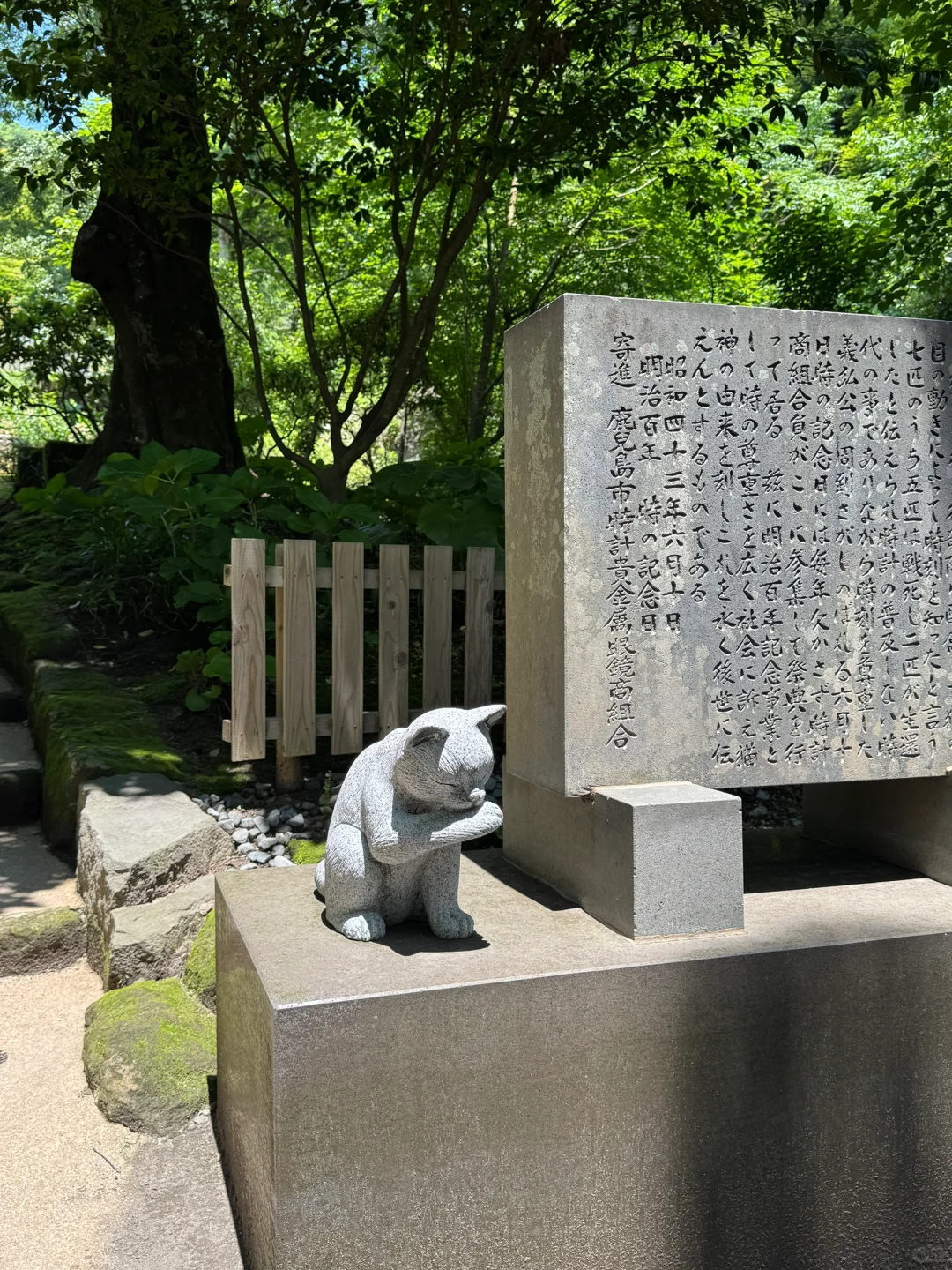 如果你只有24小时在鹿儿岛|超强景点推荐