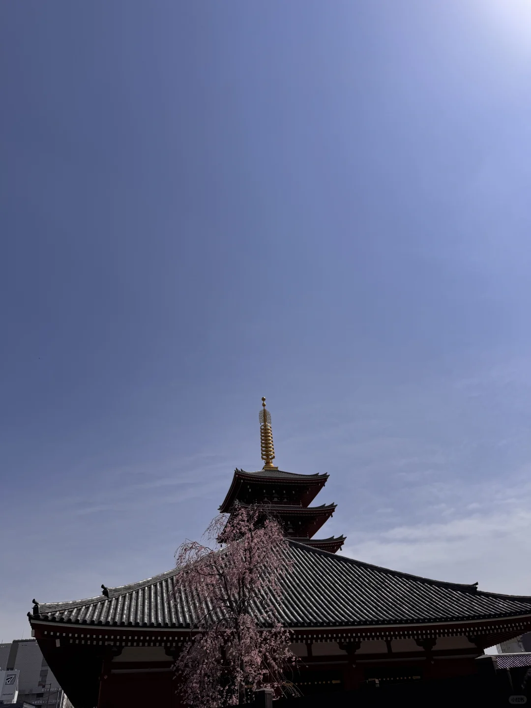 🇯🇵日本7日路线｜自由行不迷路！