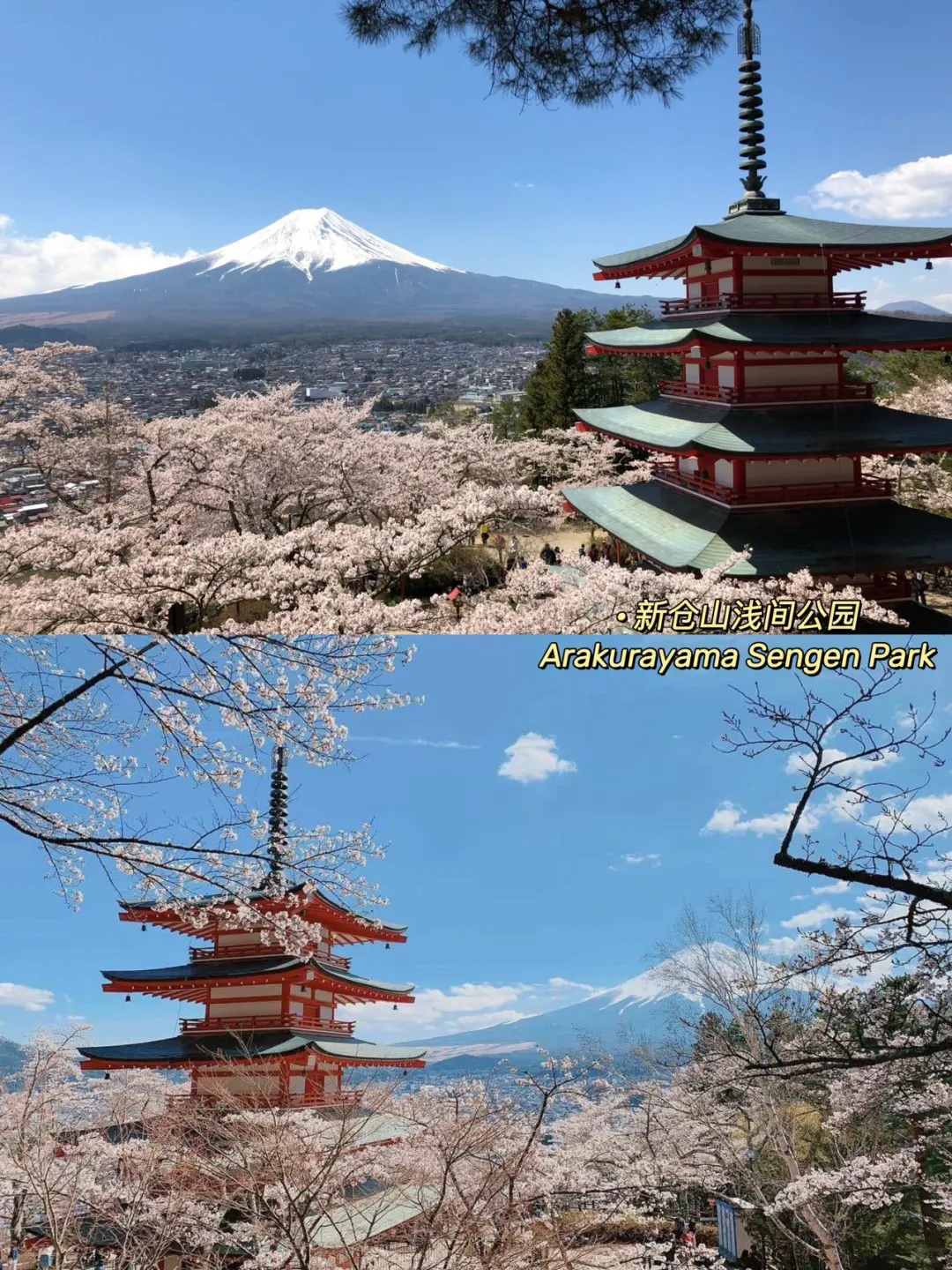 🇯🇵日本7日路线｜自由行不迷路！