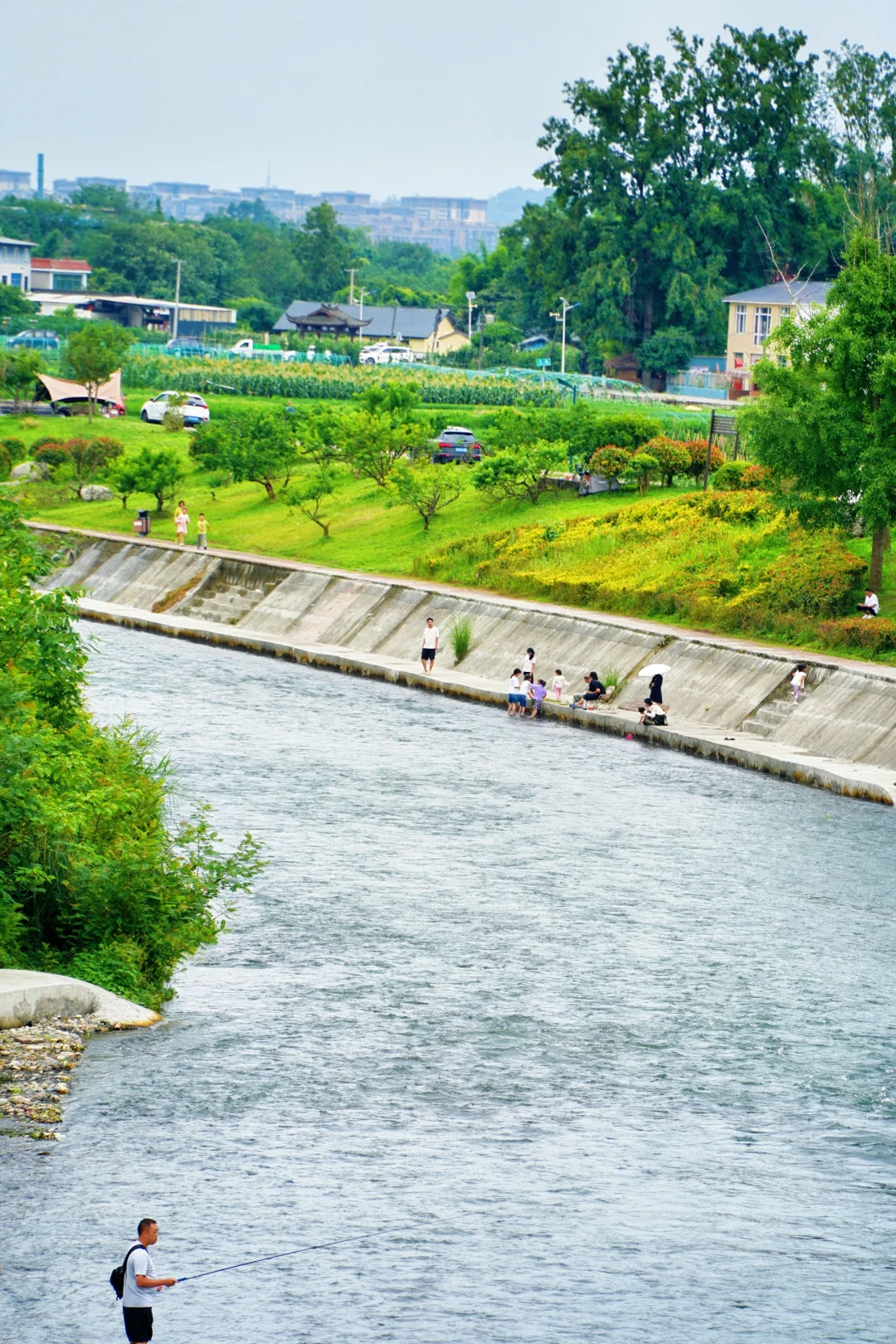 成都最美的景点果然都是免费的......