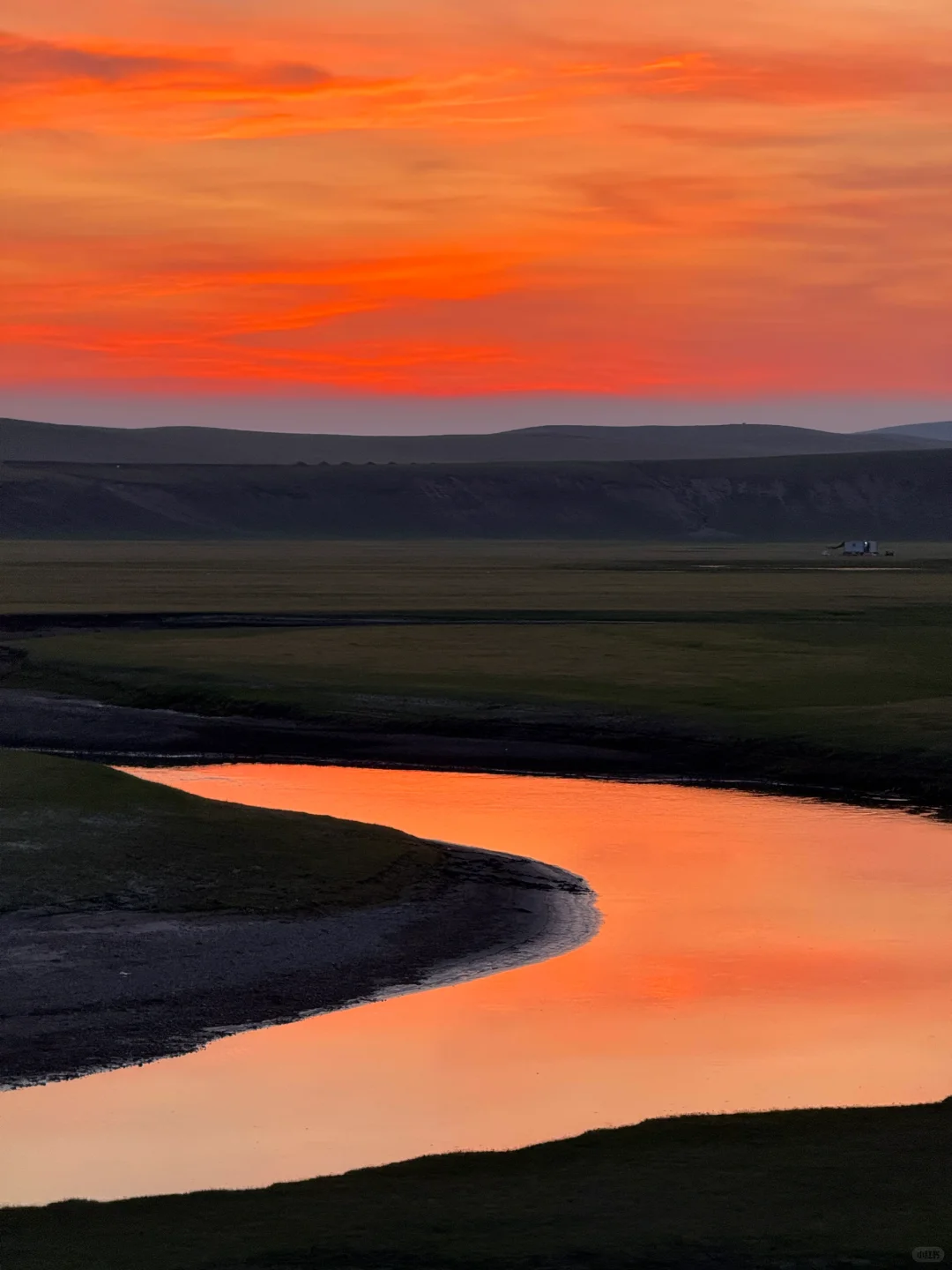 live图被草原治愈了，美的让人失语～