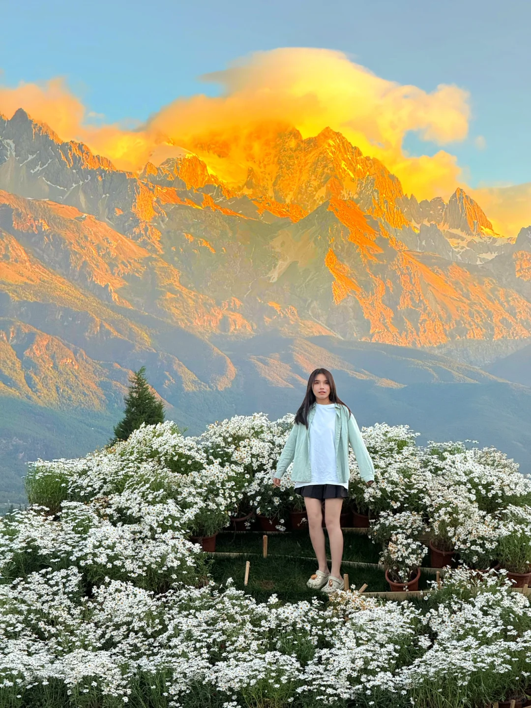 花30在丽江拍到人生照片 香巴拉牧场的鸽群