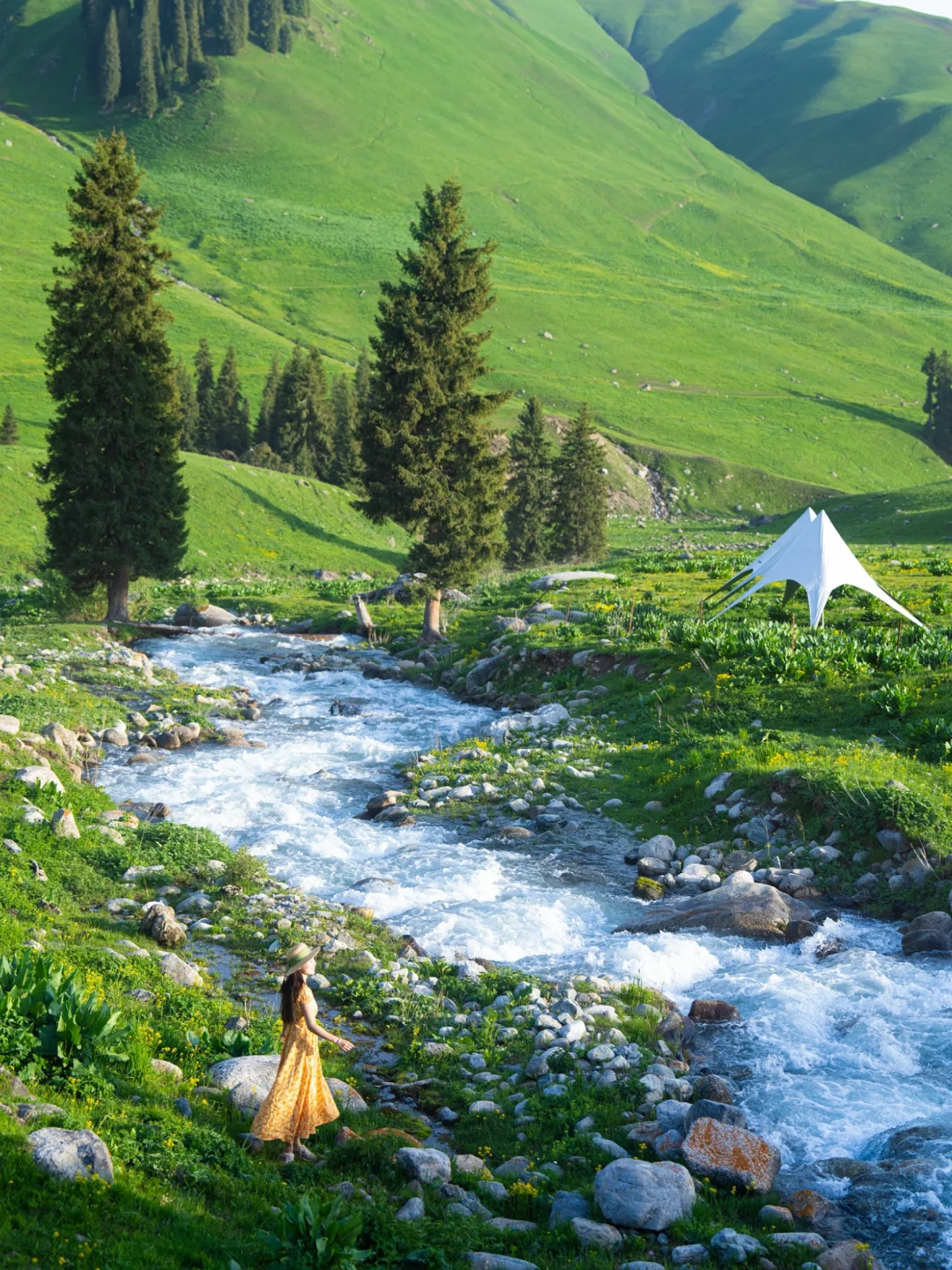 新疆yyds！这个小众古道今年一定会火！