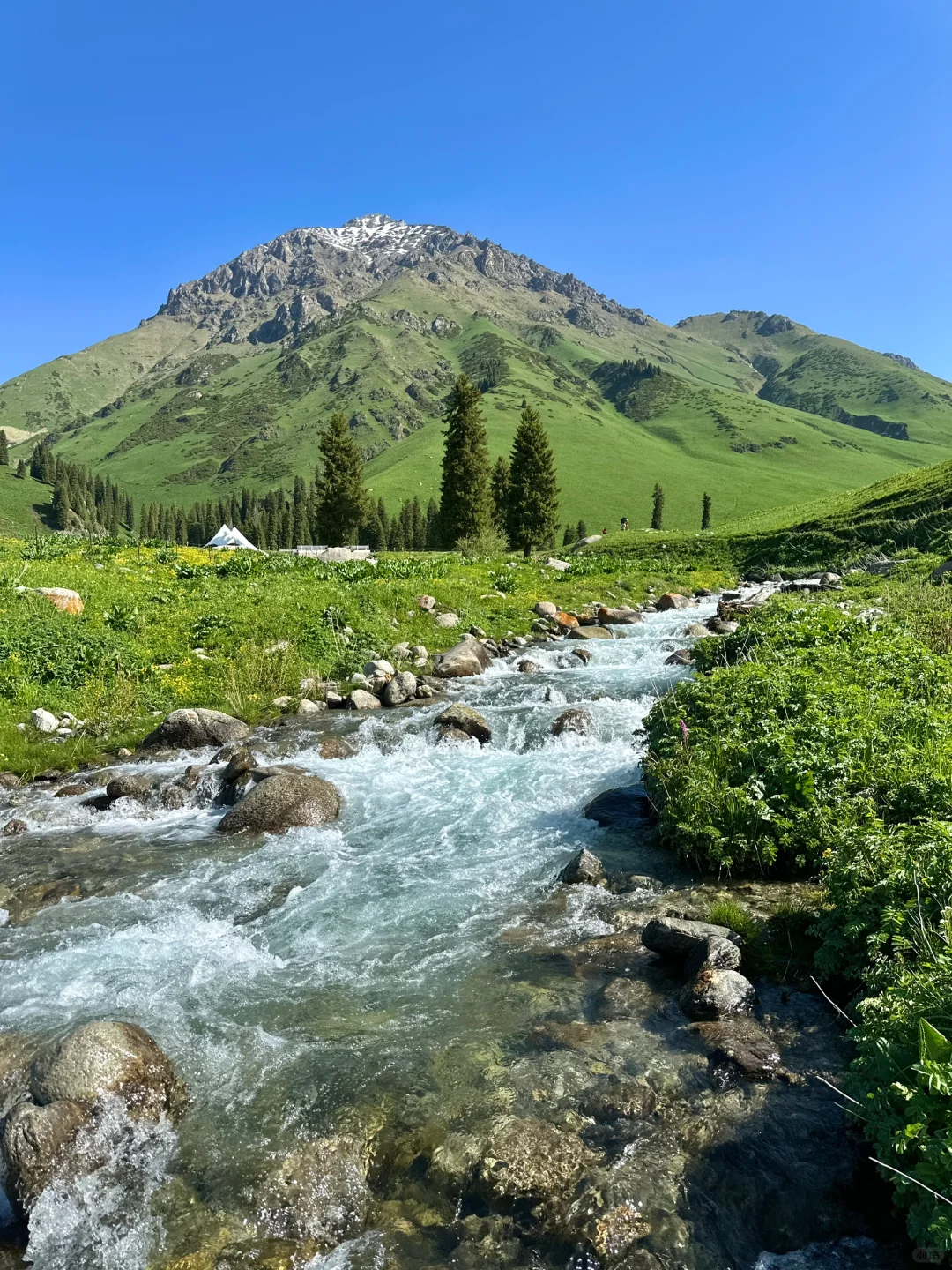 新疆yyds！这个小众古道今年一定会火！