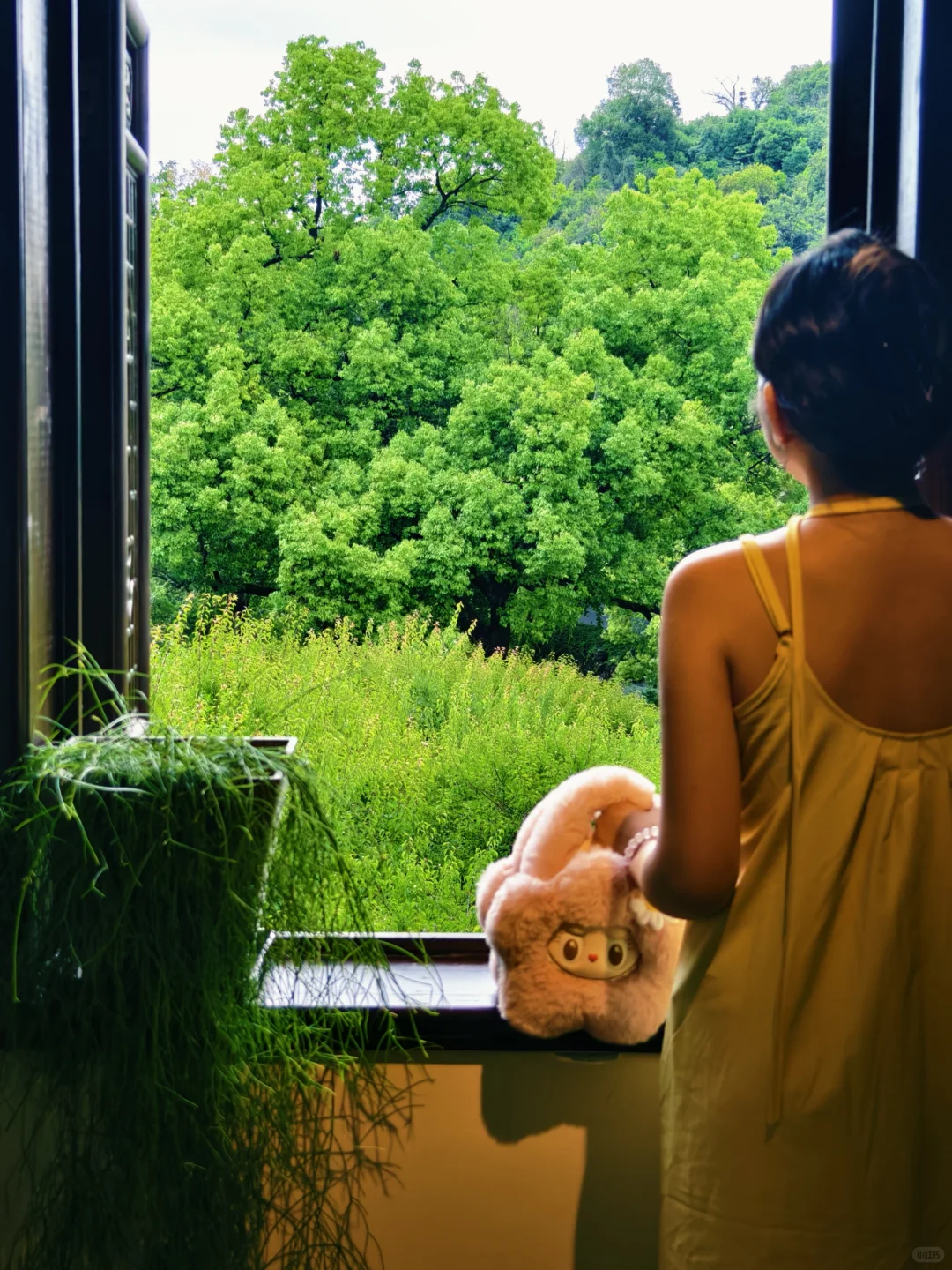 旺季别去虎跑公园挤了！来这个小众景点～