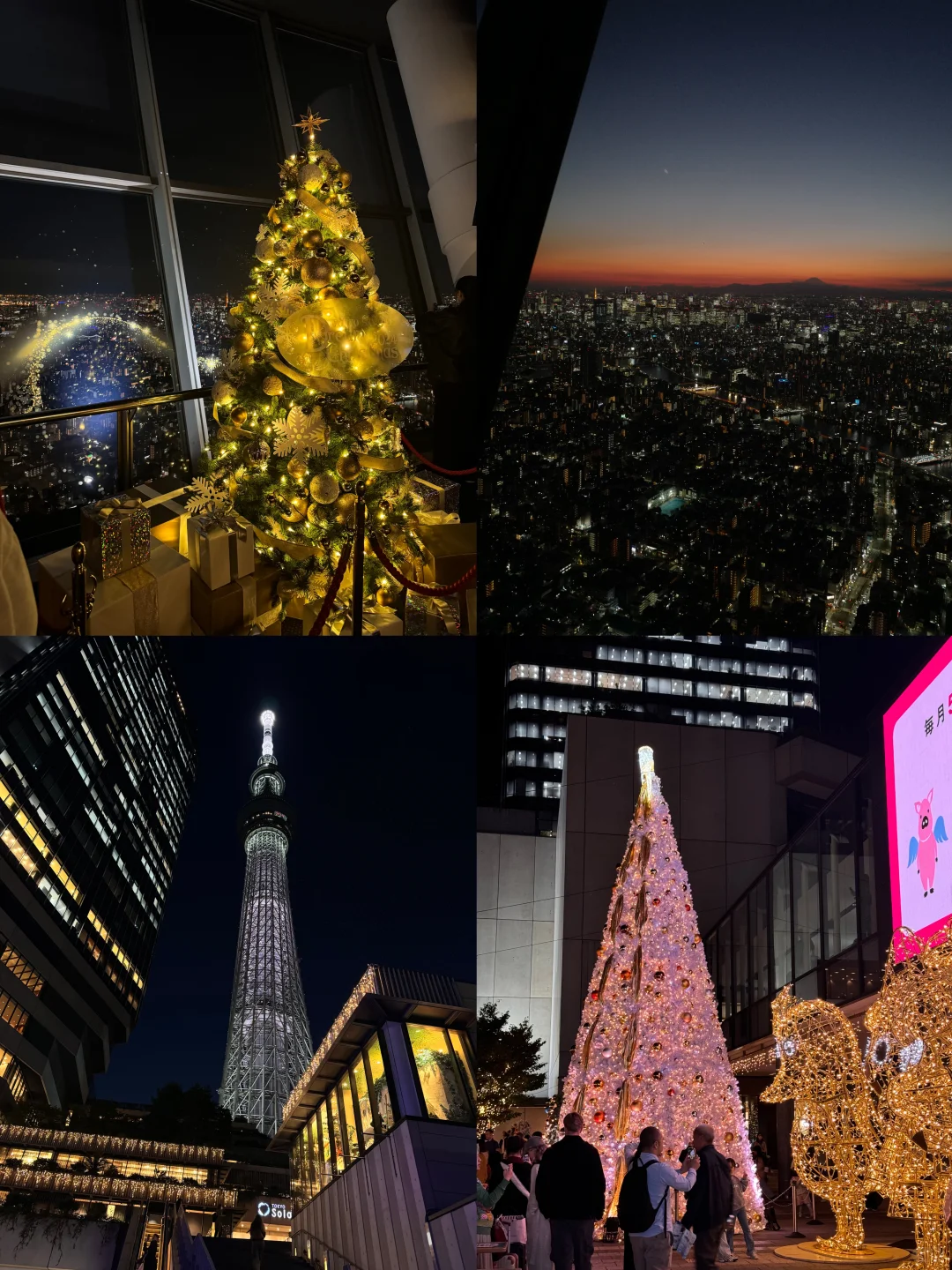 我的东京🇯🇵攻略已经Next Level （J人版！！