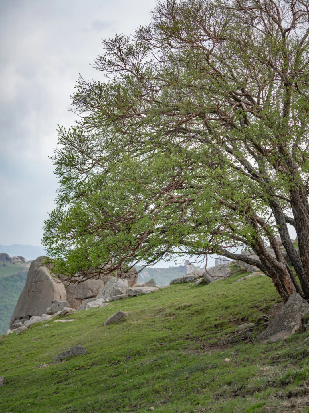 北京出发赤峰大青山经典草原塞尔达