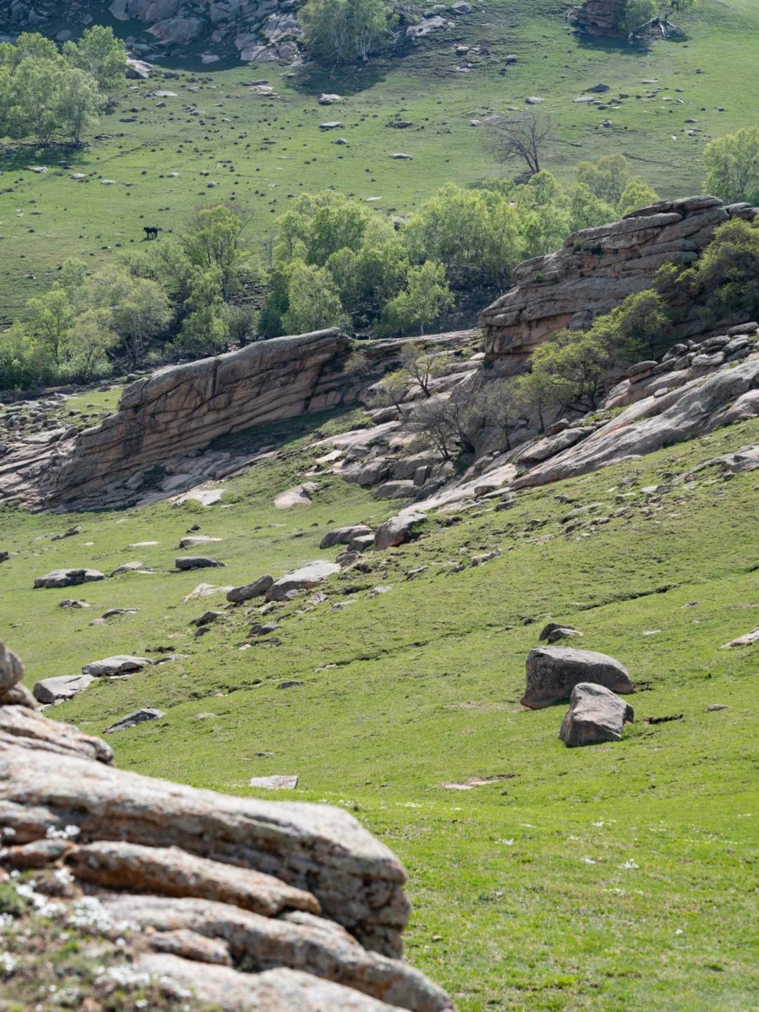 北京出发赤峰大青山经典草原塞尔达