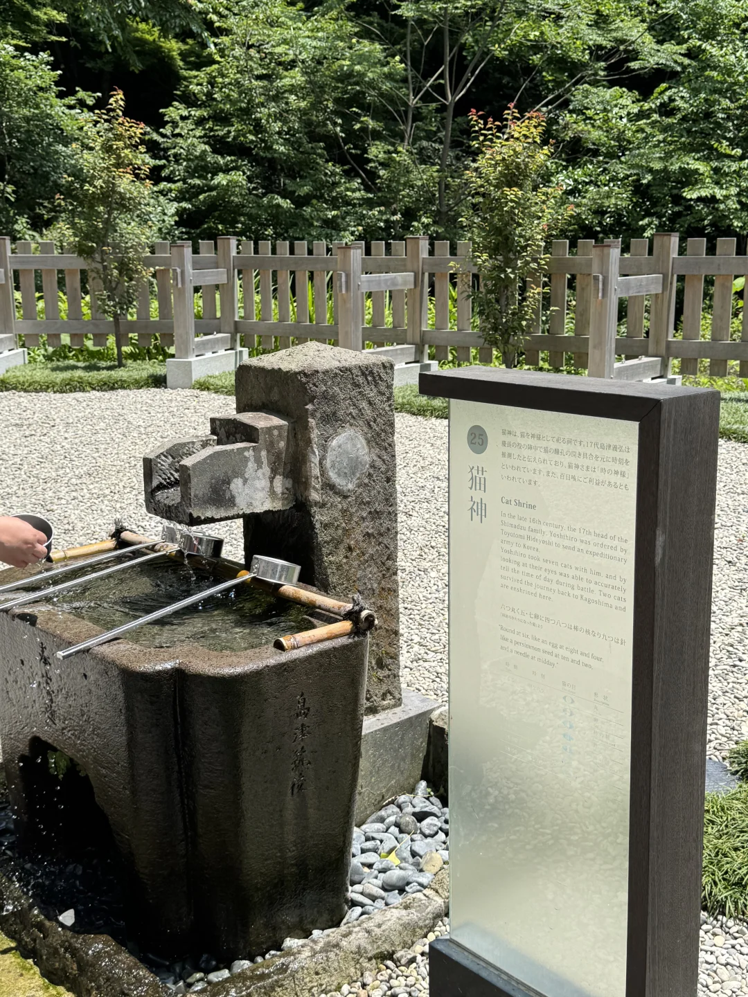 如果你只有24小时在鹿儿岛|超强景点推荐