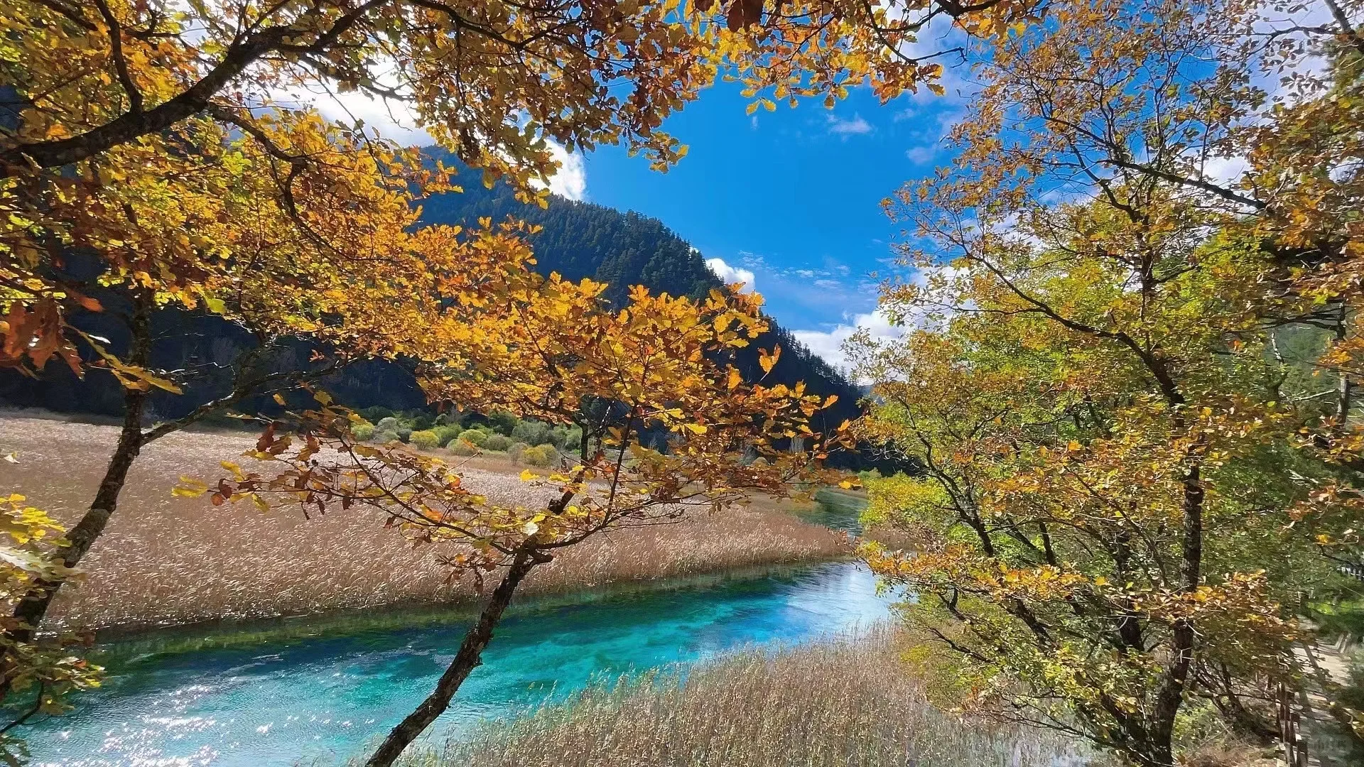 推荐各种价位最有性价比的旅游攻略