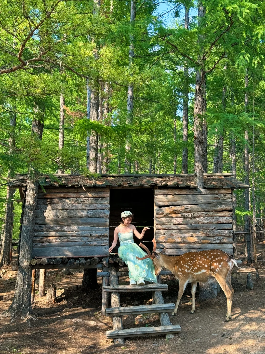 live.在呼伦贝尔实现了草原的尽头看大海!!