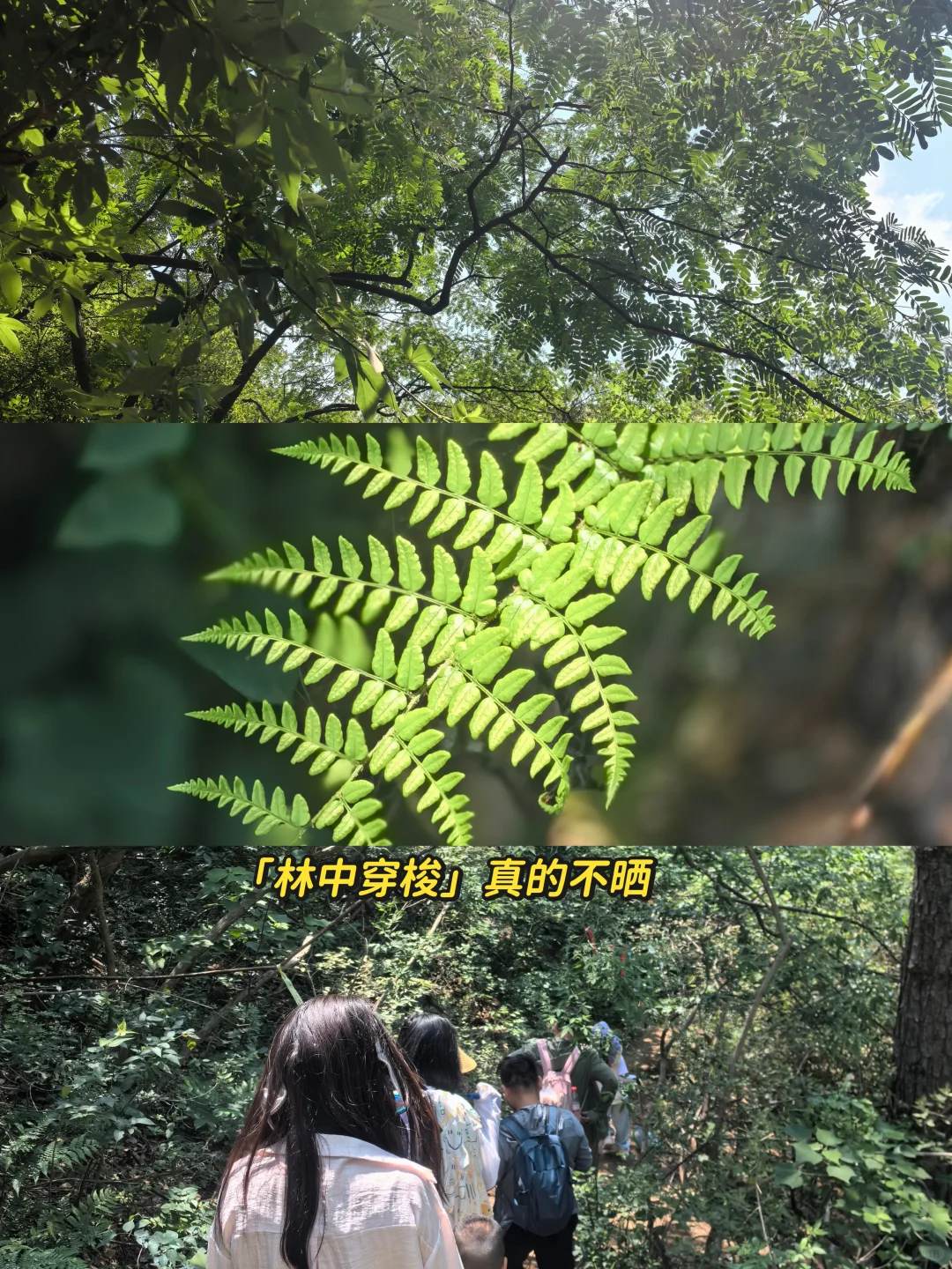 武汉周边孝感双峰山美人谷亲子爬山溯溪攻略