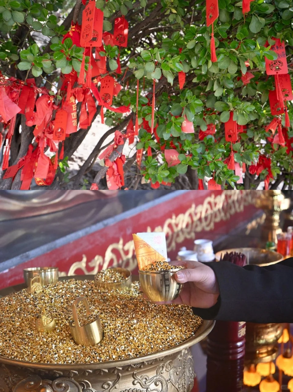 码住！邯郸这 9 个神仙景点我按头安利！