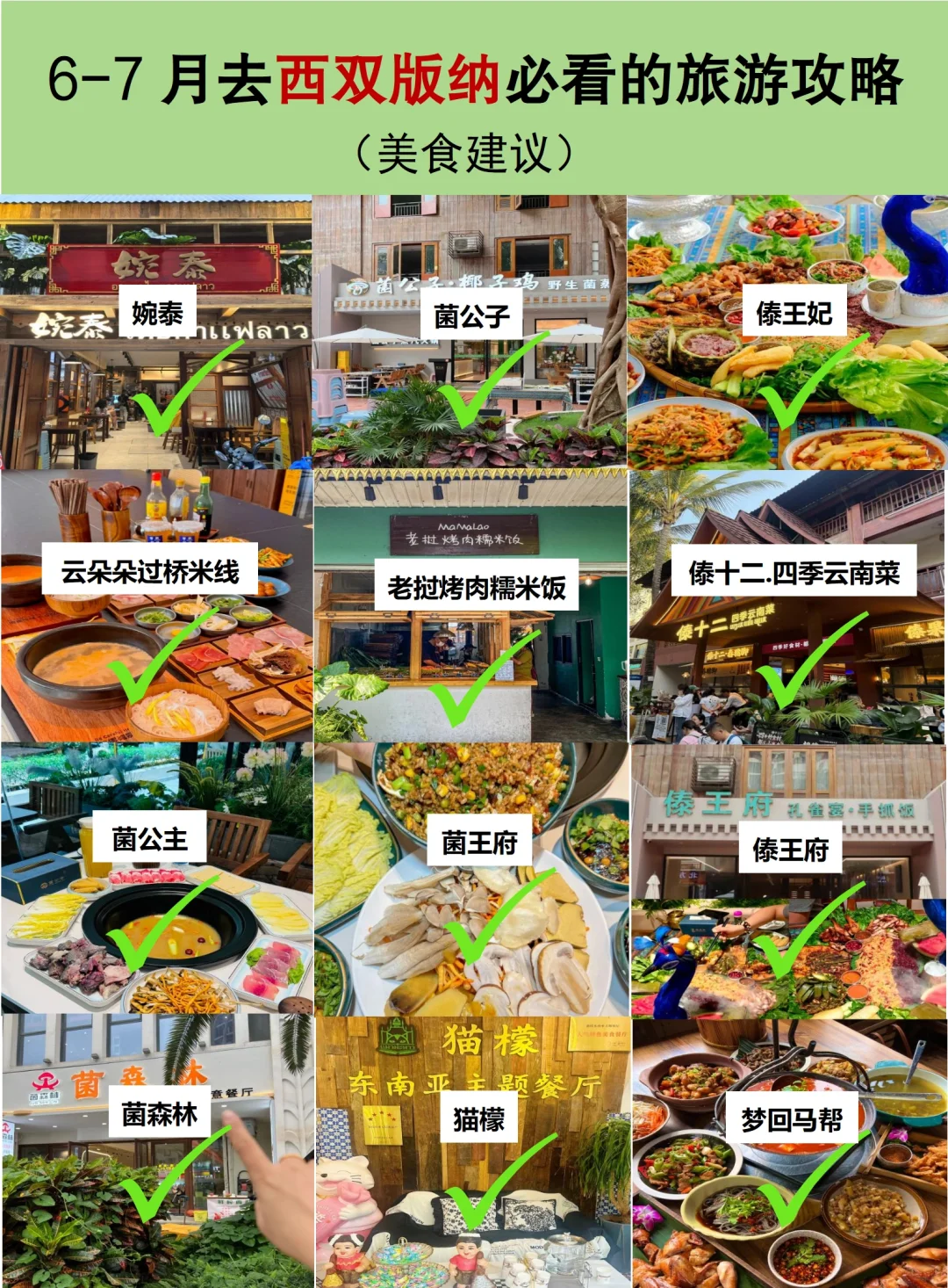 6-7月去版纳的看这篇就够了，10页满满干货