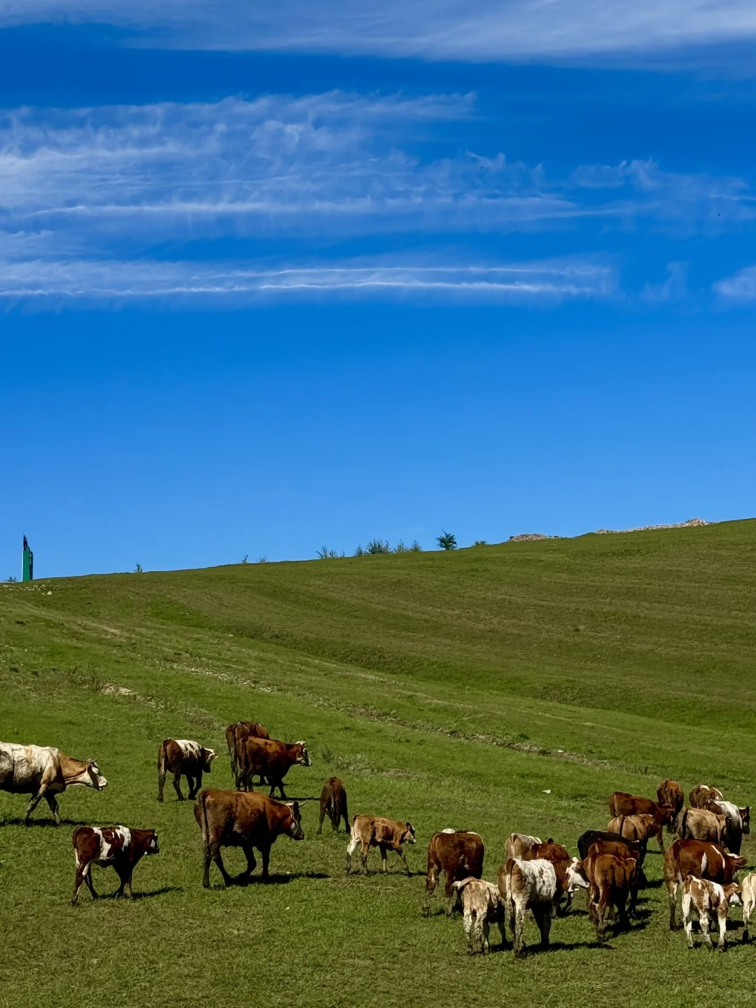 北京出发📍端午推荐的8个周边宝藏出行地