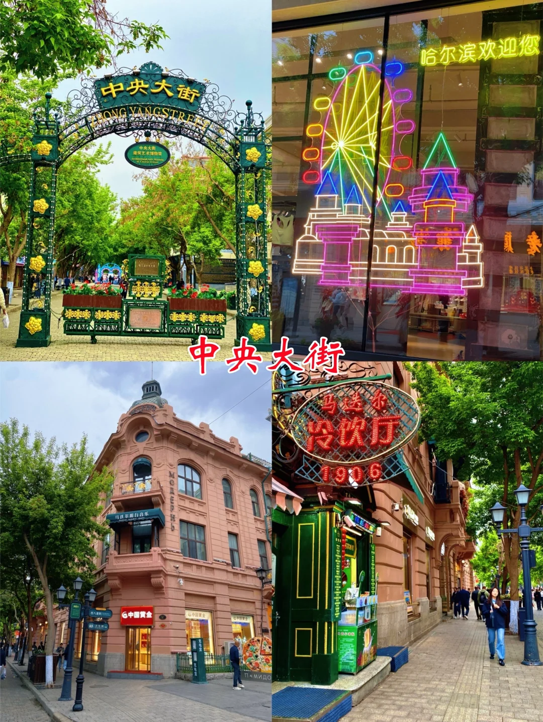 五一去哪儿|哈尔滨三天两晚旅游攻略请收好