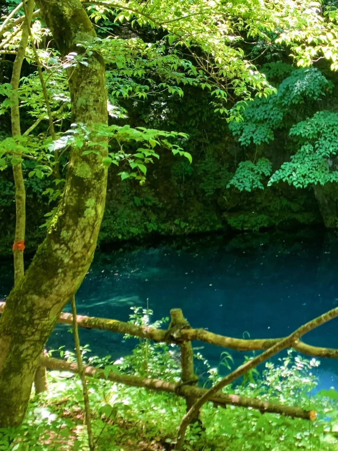 汉中必去9大景点‼️汉中旅游必看