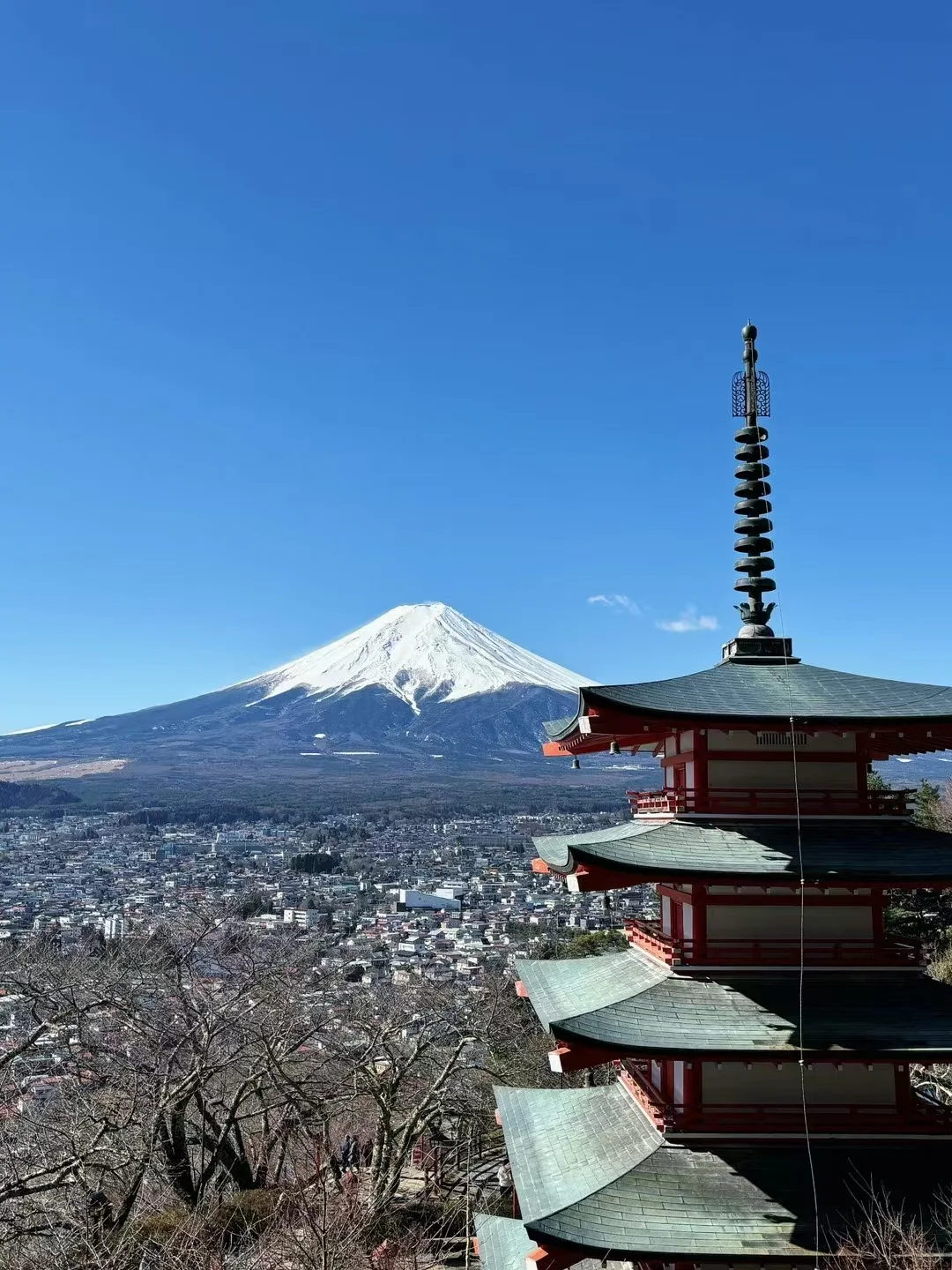 我的东京🇯🇵攻略已经Next Level （J人版！！