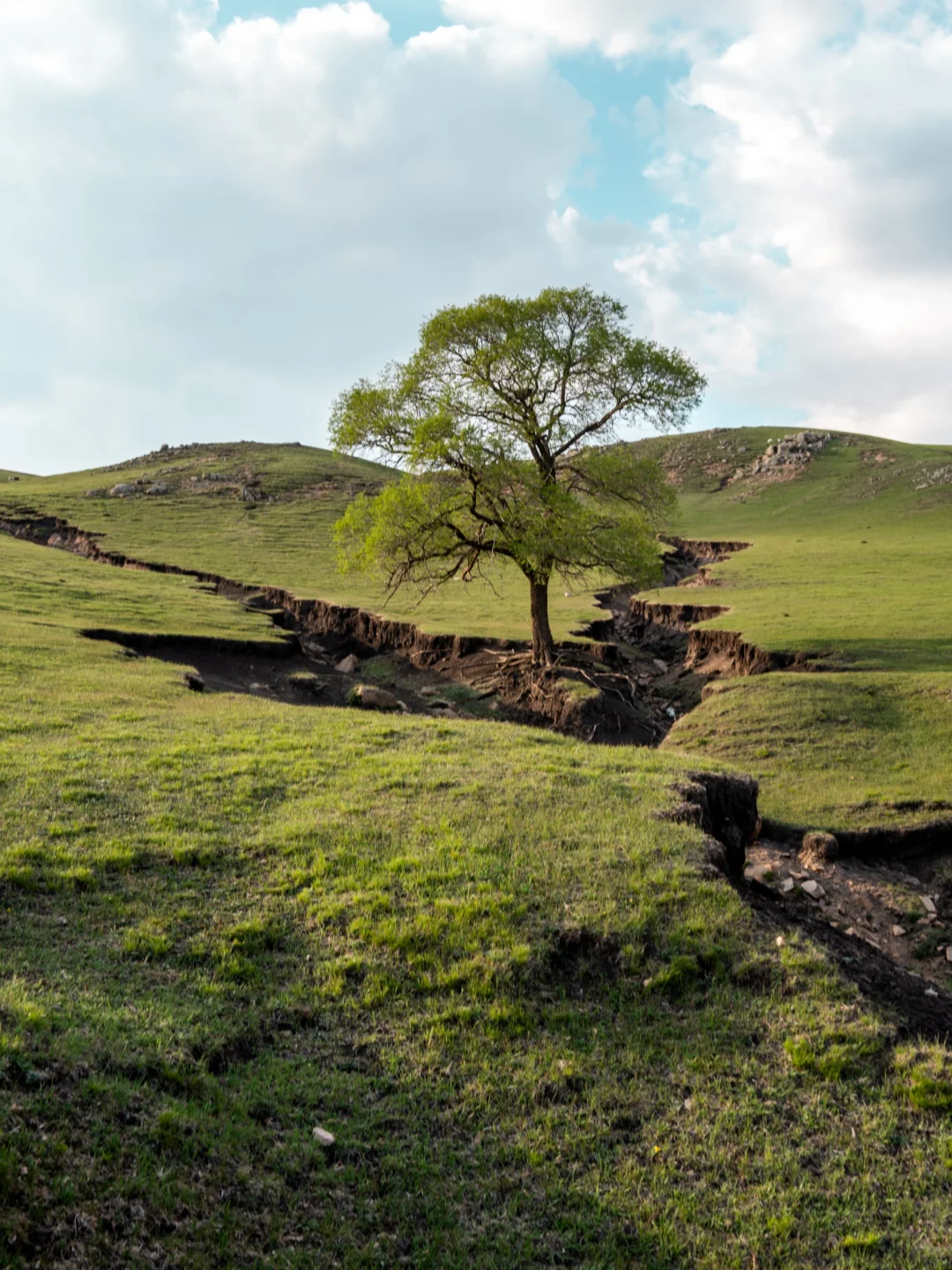 北京出发赤峰大青山经典草原塞尔达