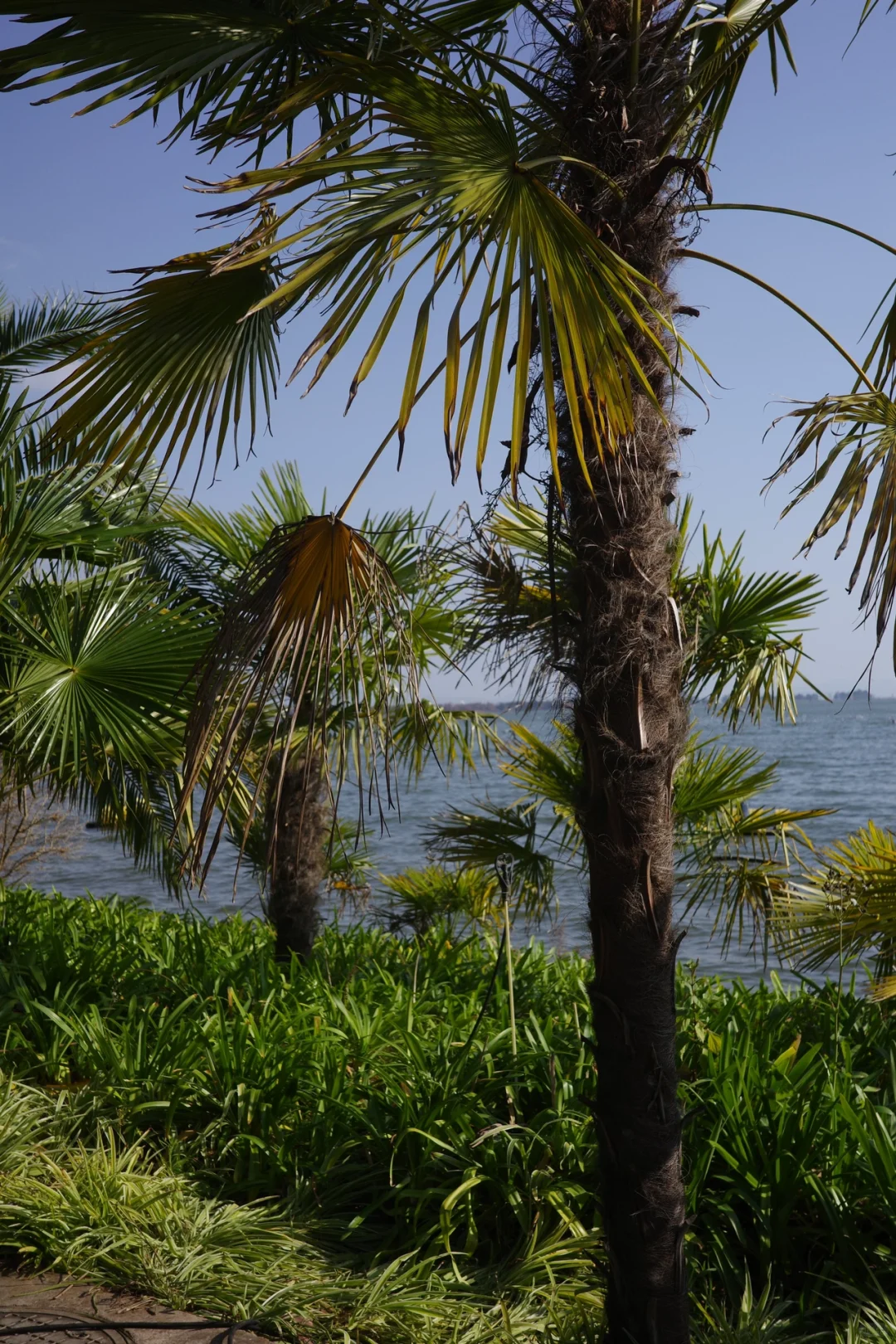 旅行干货:昆明旅游的本质是围绕三个湖