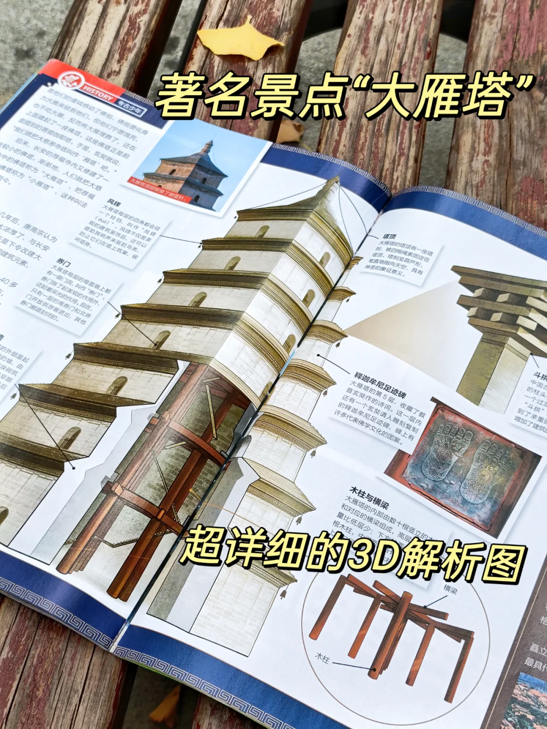 带娃旅游光拍照打卡怎么行，看完这期不白去