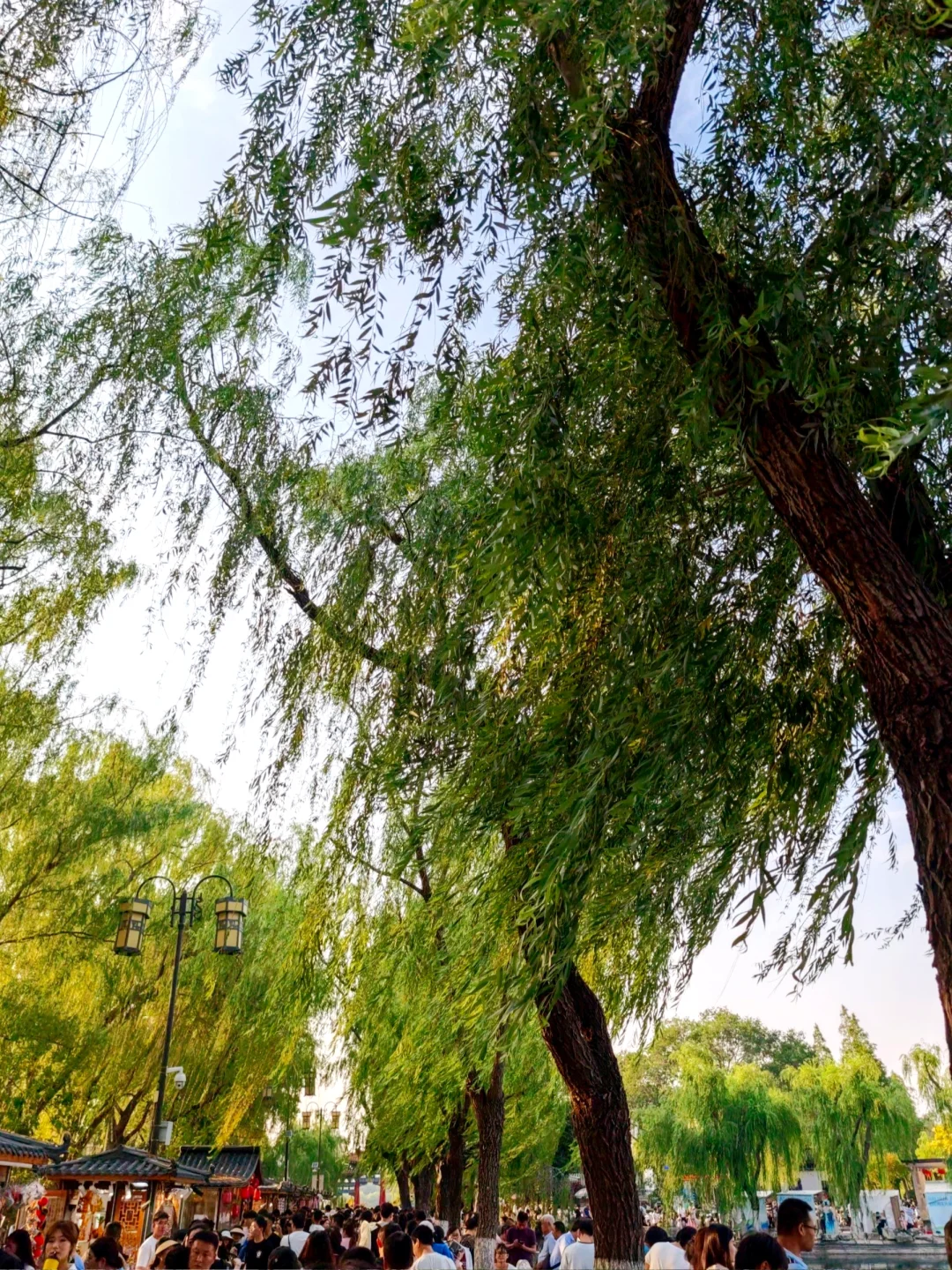 济南，免费景点凑不出两张人像发朋友圈🙂‍↔️