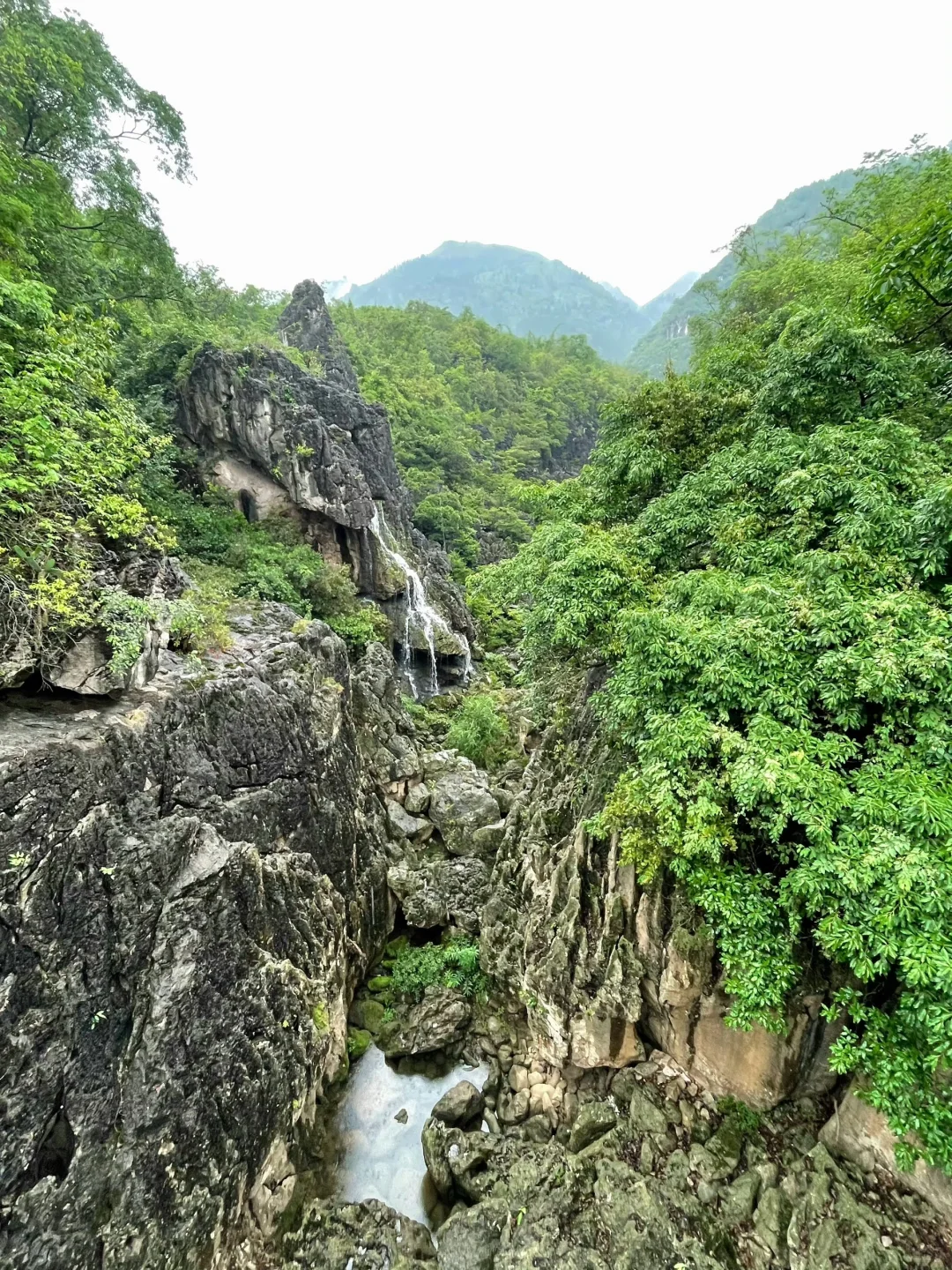 5.28📍黄果树瀑布已回，真心建议6月来的😅……