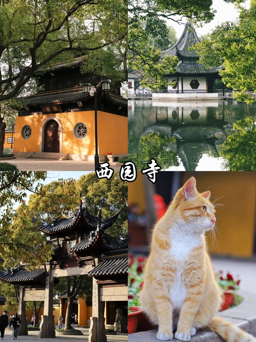 🔥苏州必去9️⃣大热门景点,看这篇就够啦!