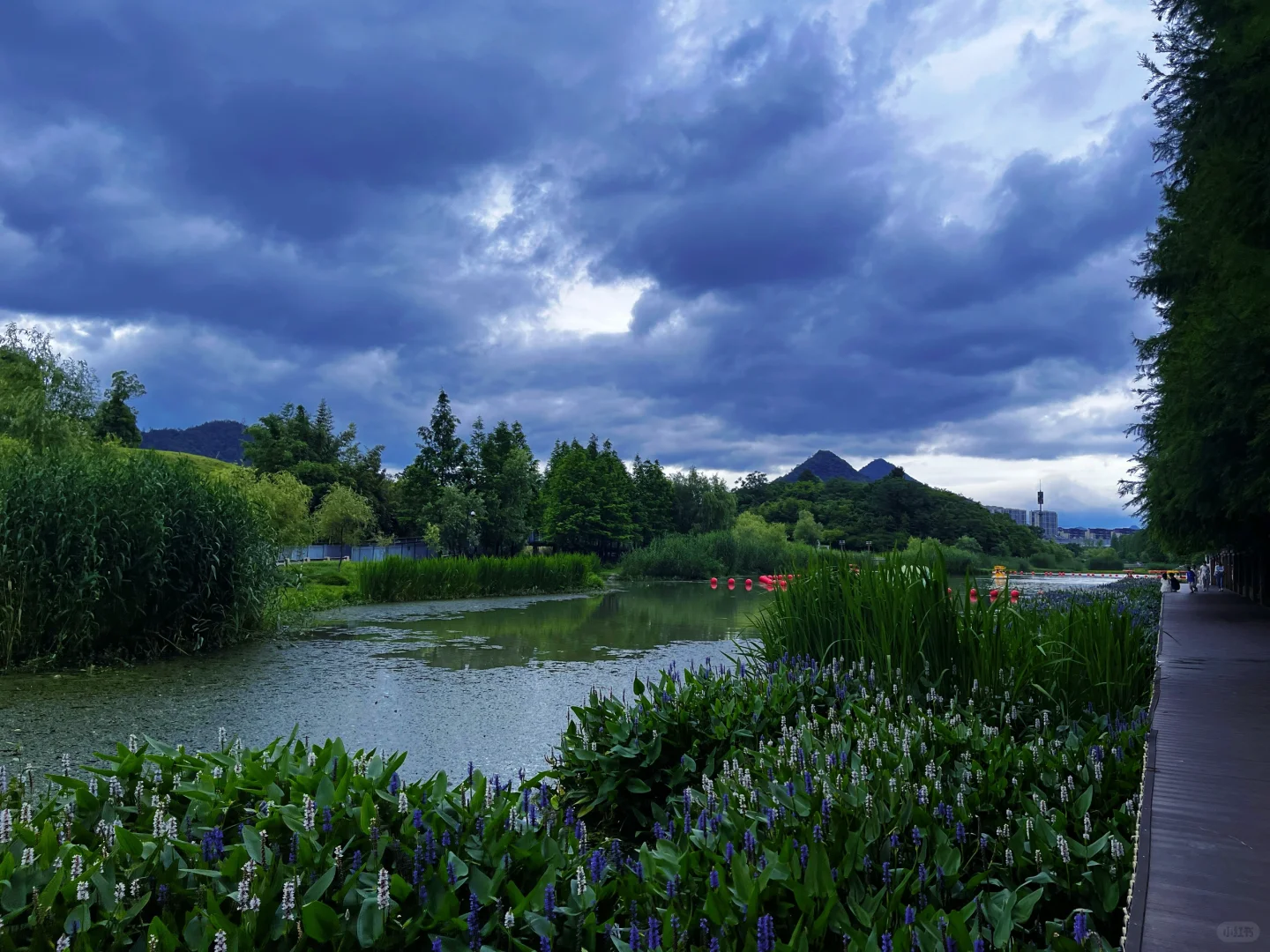 谁说绿野仙踪只在童话里⁉️