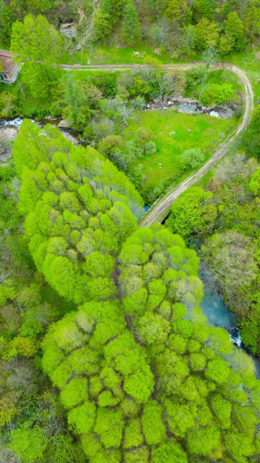 🌲被问爆的汉中秦巴古道自驾路线来了!