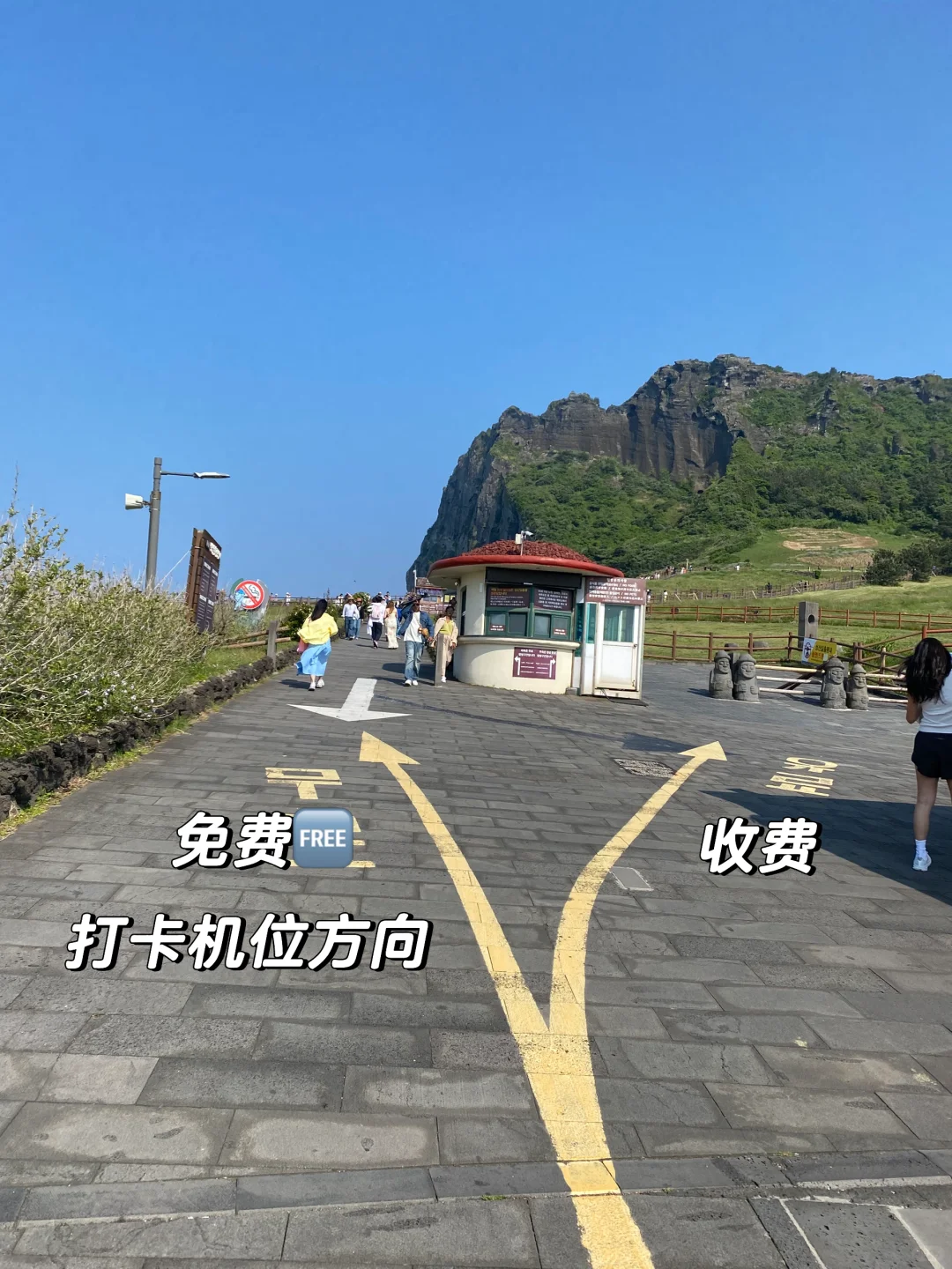 济州岛东线攻略📝每个景点都太值得‼️美哭🤩