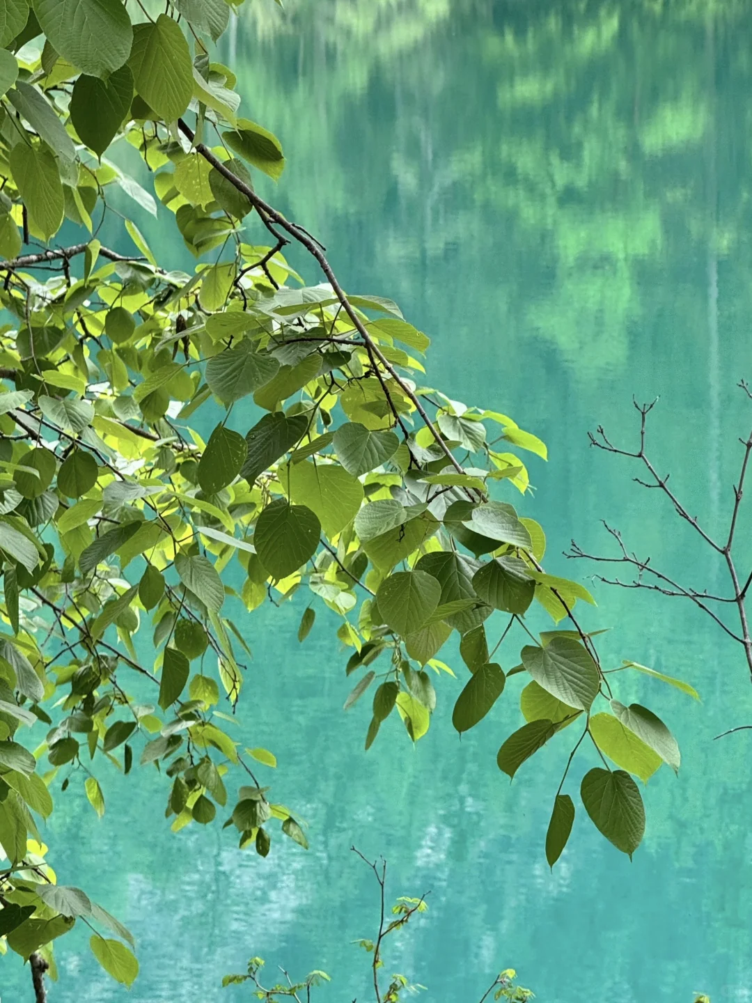 📍6.2九寨沟live已回。😭我的避雷建议是.…..