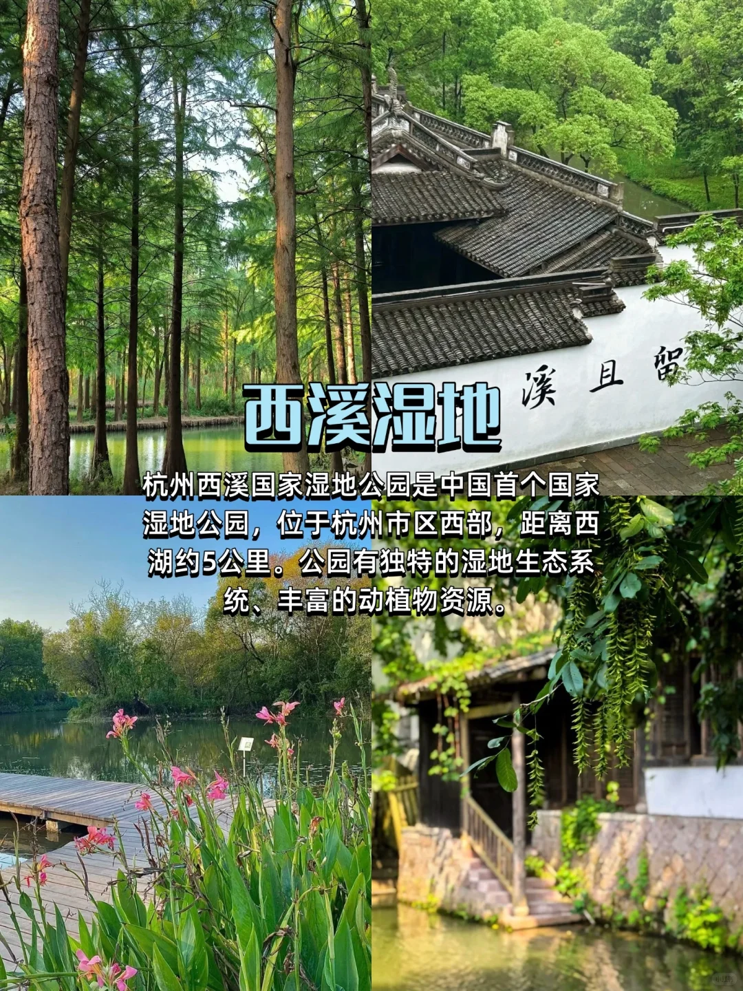 杭州citywalk |最值得逛的8条街攻略