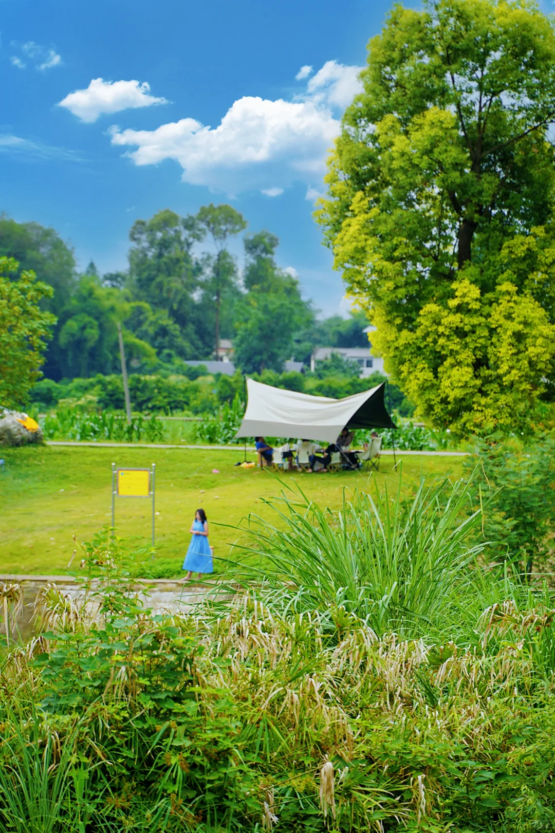 成都最美的景点果然都是免费的......