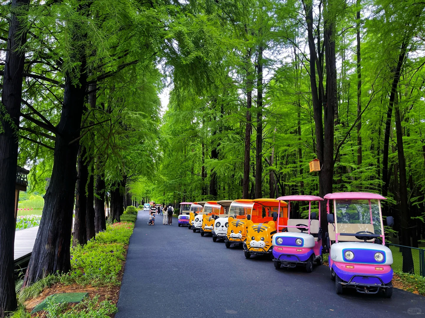 谁说绿野仙踪只在童话里⁉️