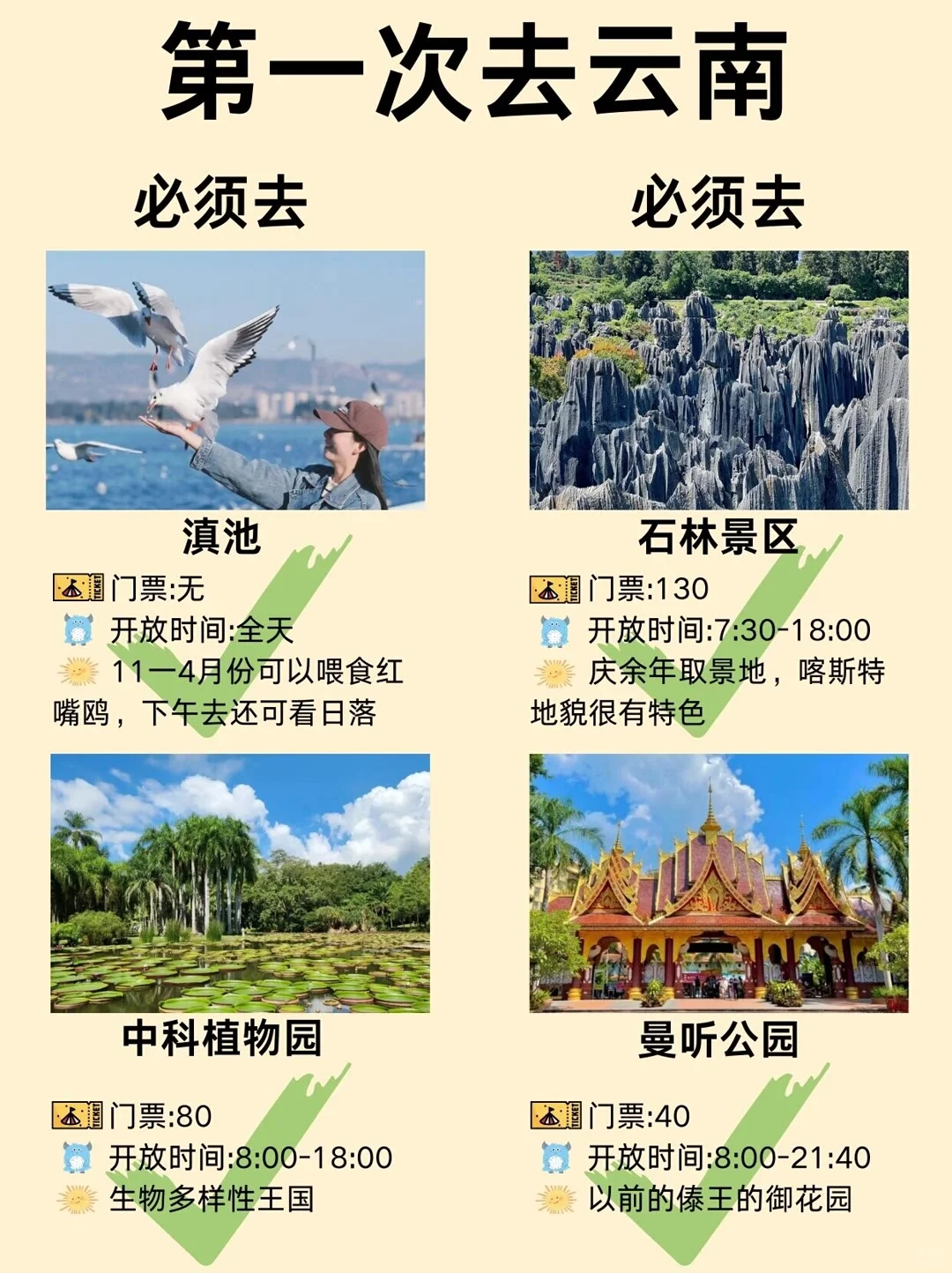 一篇攻略教会你☁️云南怎么玩