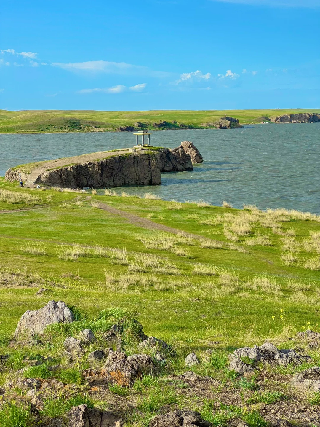 终于赌对啦‼️5月30日的拴马桩live封神‼️