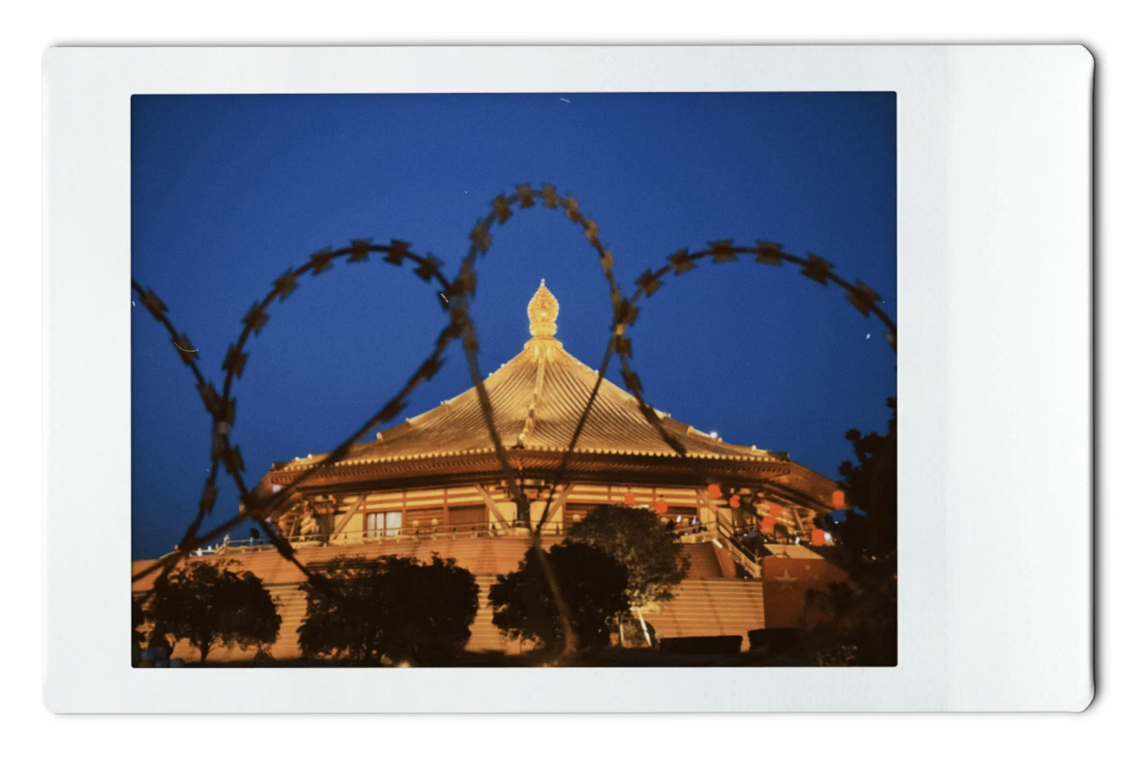 洛阳这些景点收费合理吗🙃