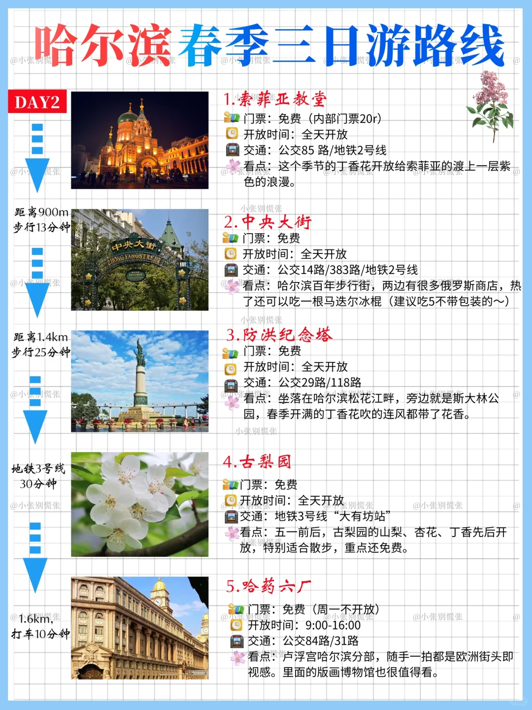 五一去哪儿|哈尔滨三天两晚旅游攻略请收好