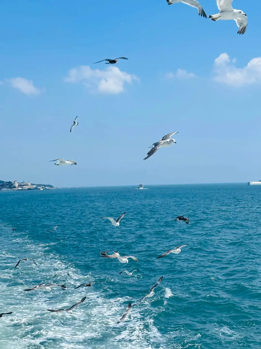 🌸599威海3天2晚 没有比这更省心的行程了✨