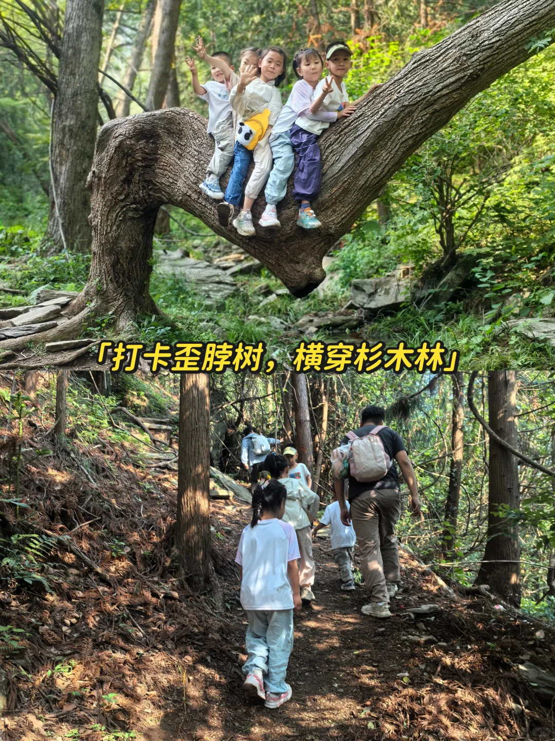 武汉周边孝感双峰山美人谷亲子爬山溯溪攻略