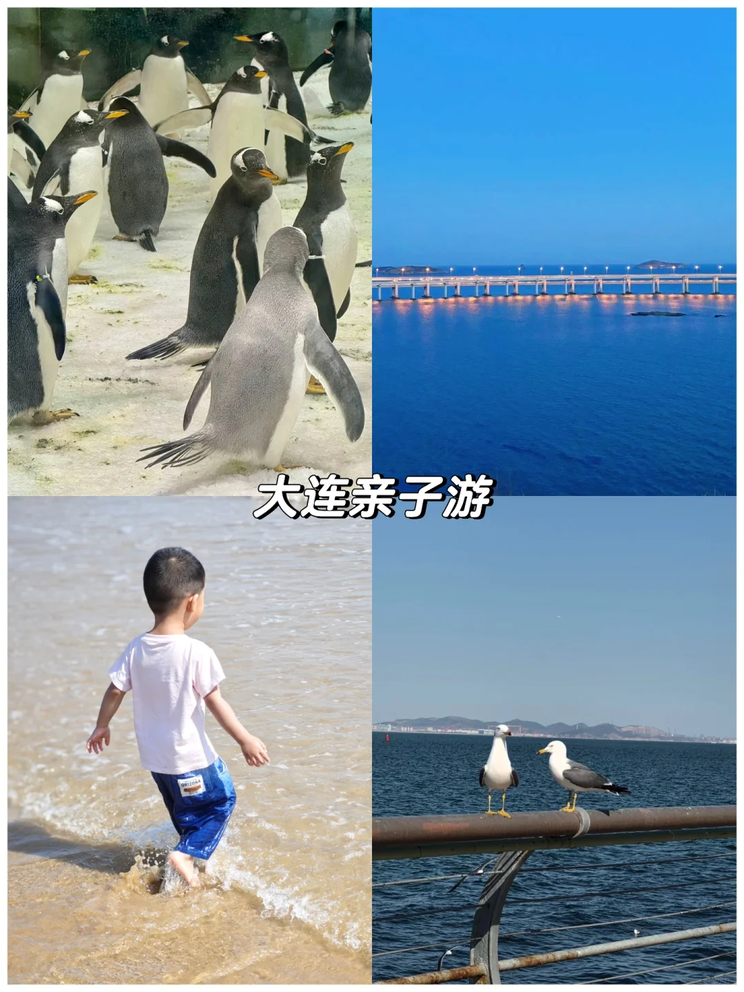 7—8月亲子旅行🏖️我推荐这8个避暑旅行地