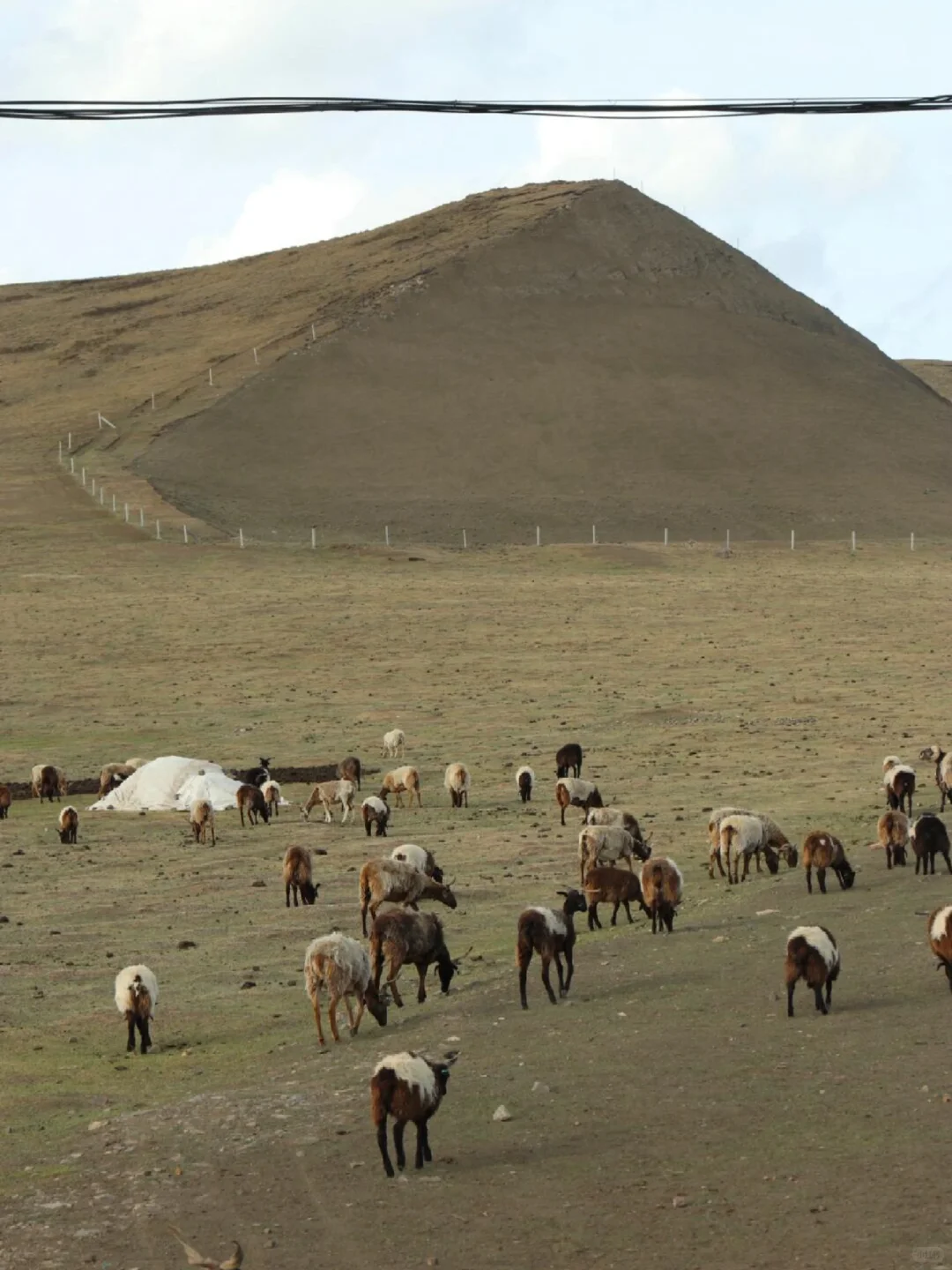 6.1📍甘南已回,说点难听的大实话。。
