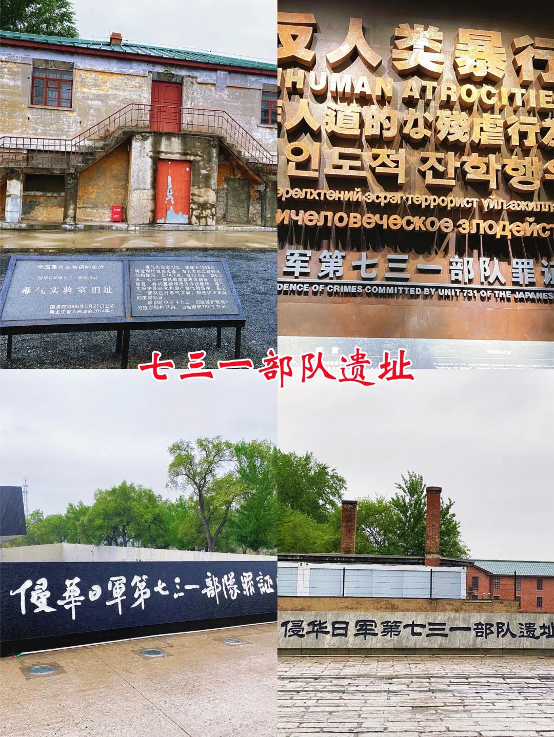 五一去哪儿|哈尔滨三天两晚旅游攻略请收好