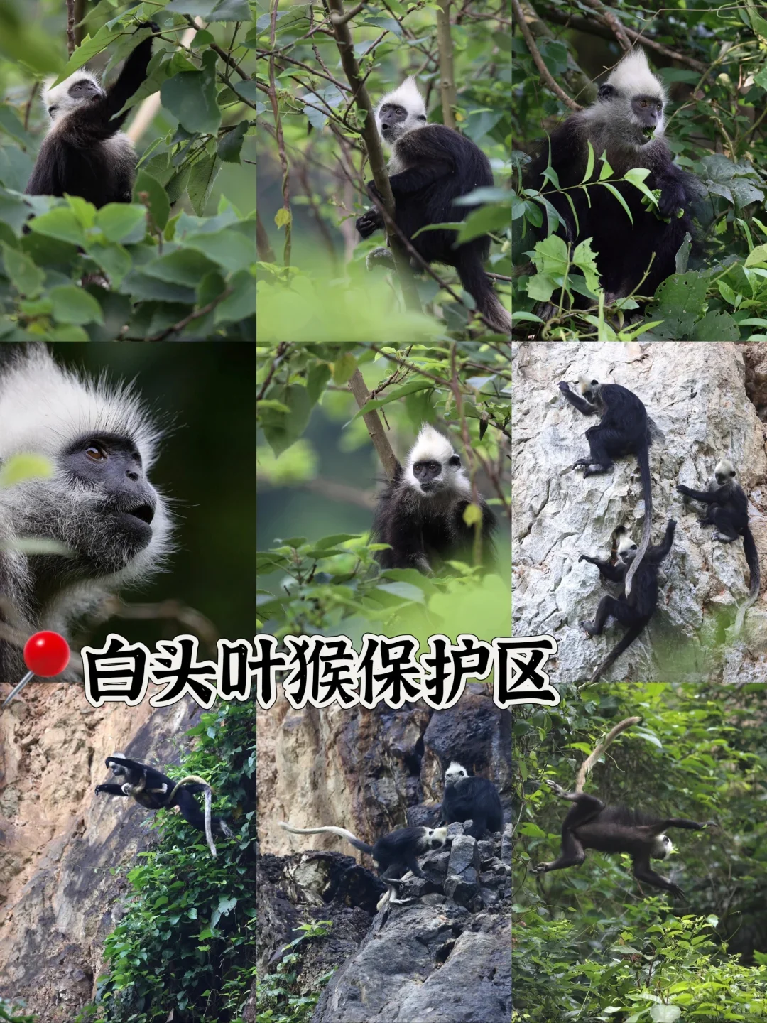 崇左旅游攻略&景点住宿交通攻略