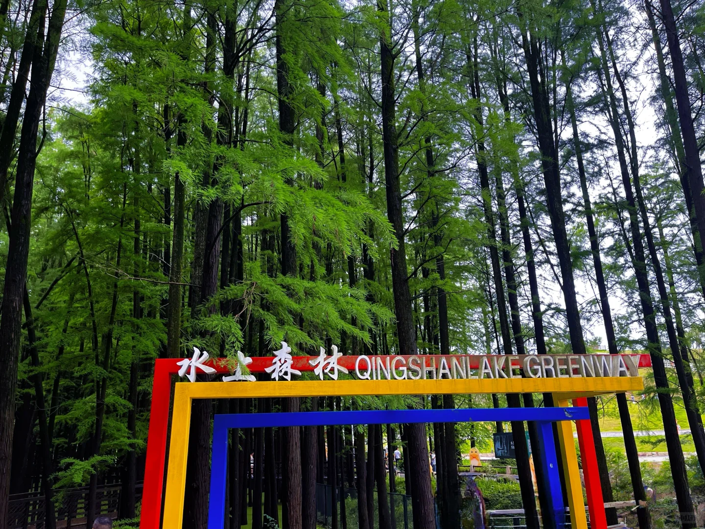 谁说绿野仙踪只在童话里⁉️