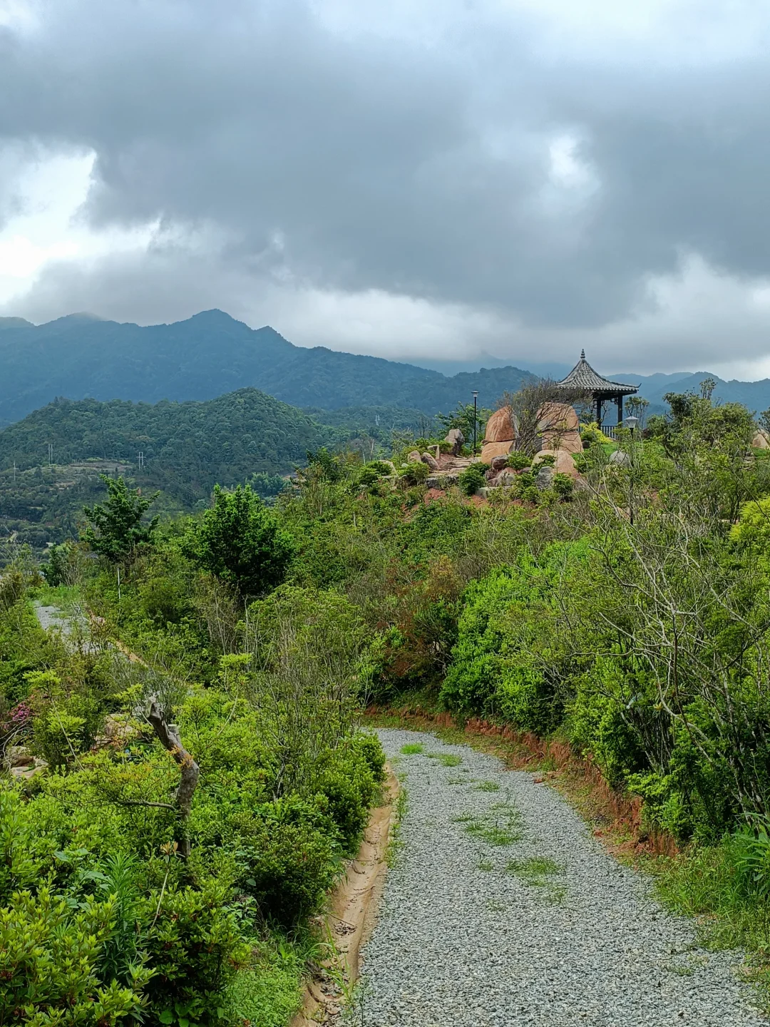 永福杜鹃谷：趁明年春天可能收💰前赶紧冲