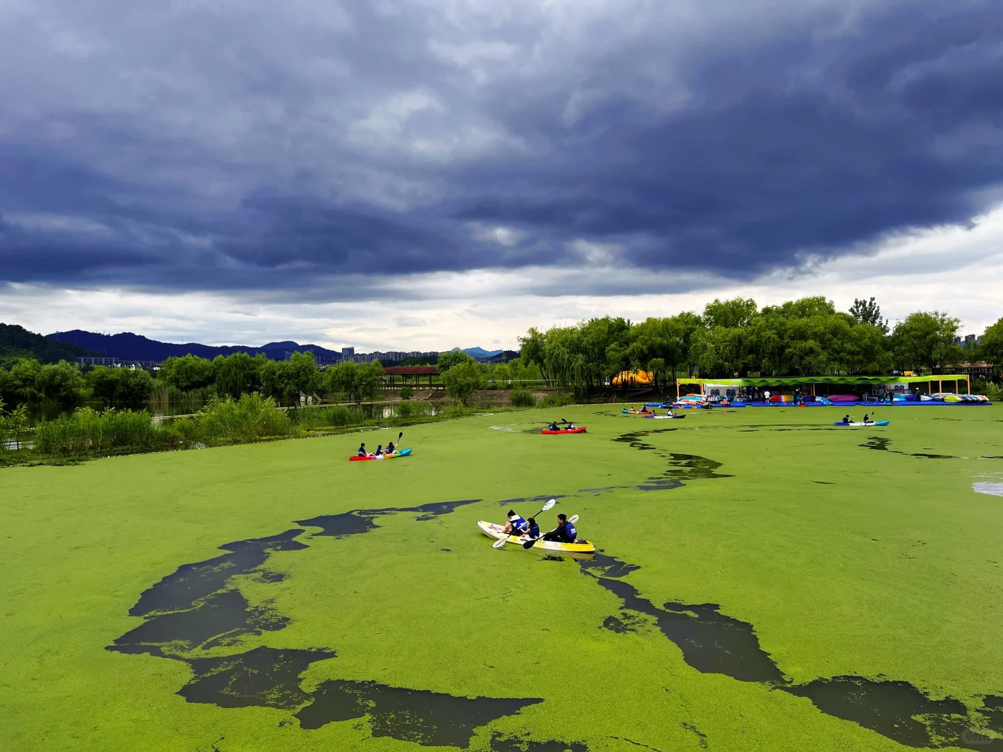 谁说绿野仙踪只在童话里⁉️